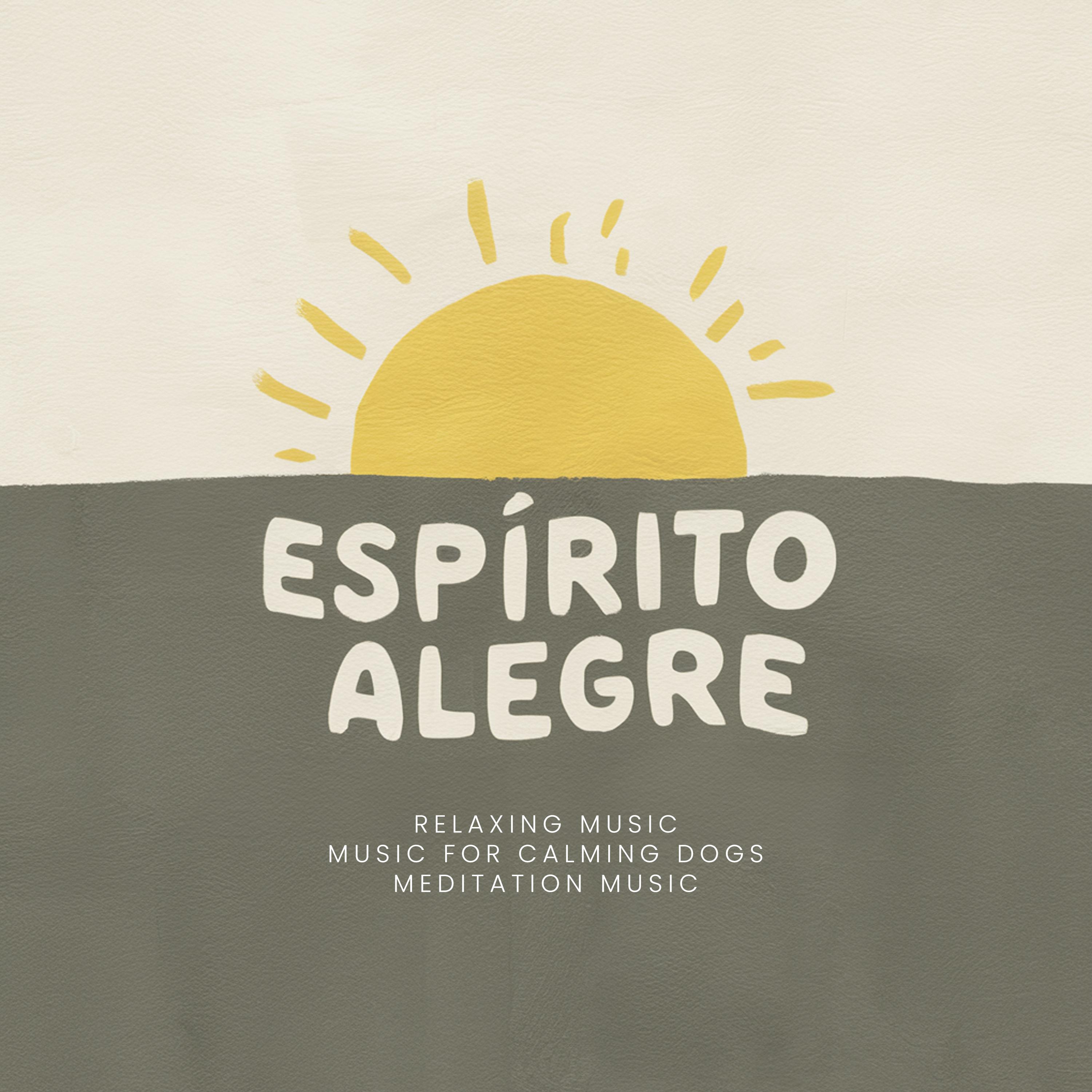 Постер альбома Espírito Alegre