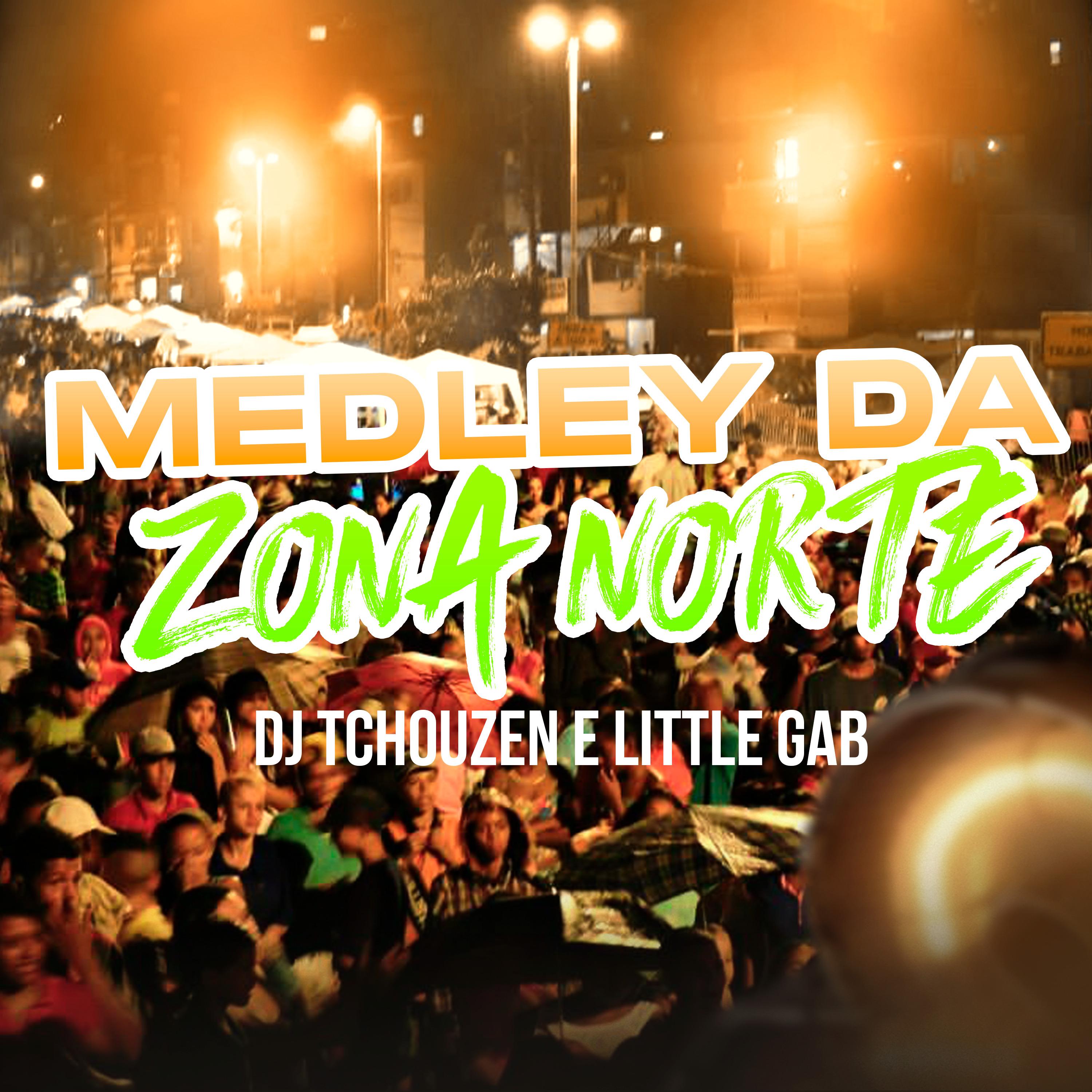 Постер альбома Medley da Zona Norte