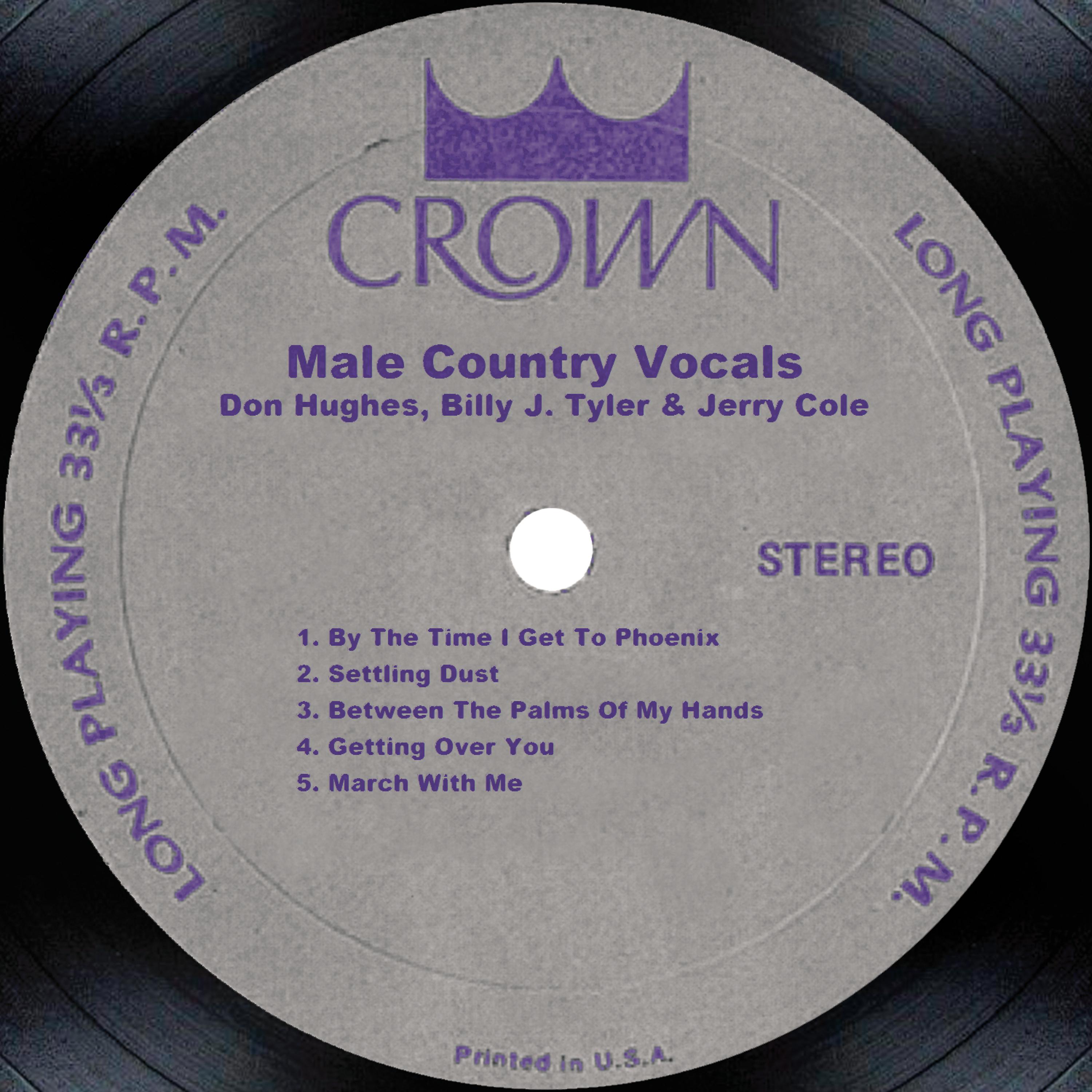 Постер альбома Male Country Vocals