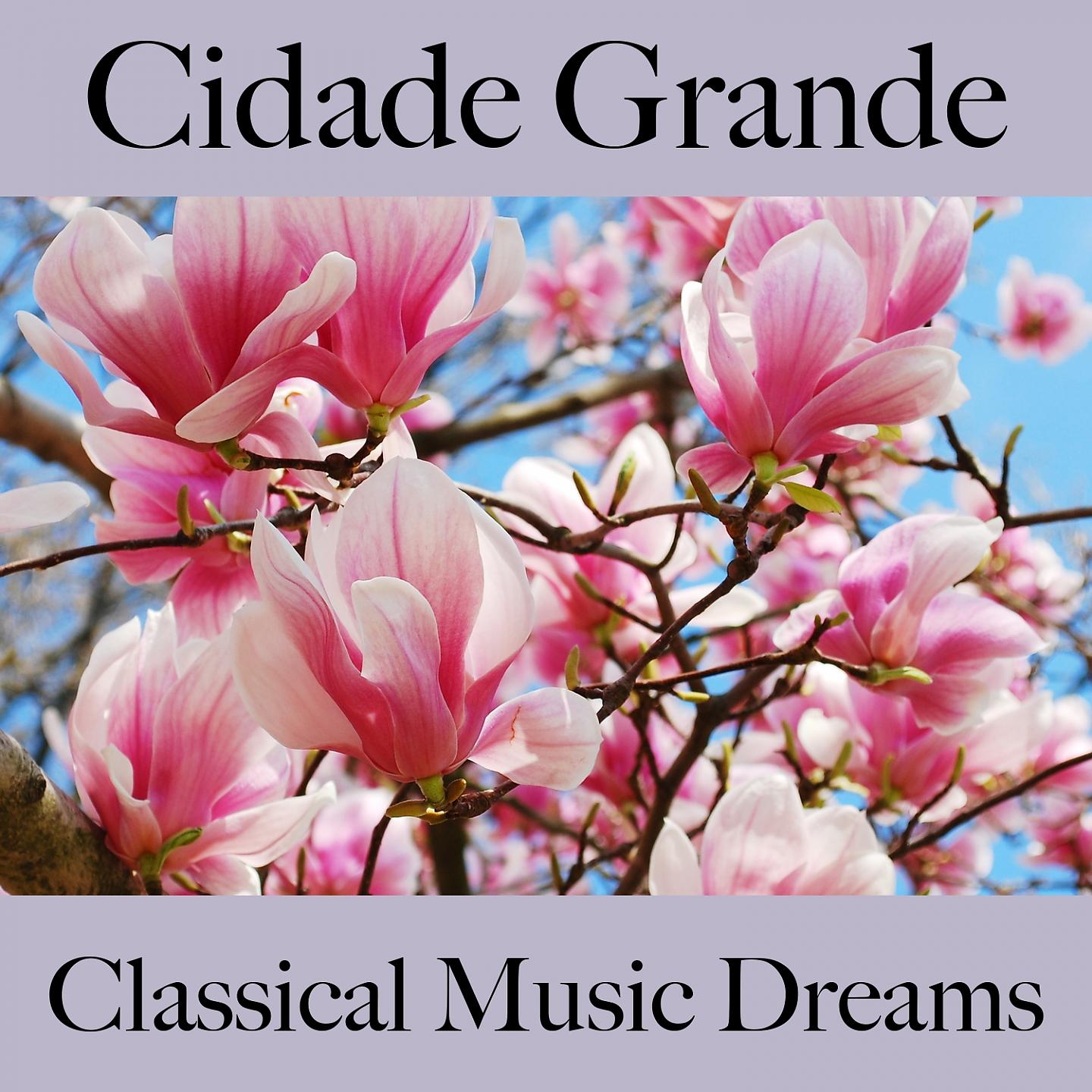Постер альбома Cidade Grande: Classical Music Dreams - Os Melhores Sons Para Relaxar