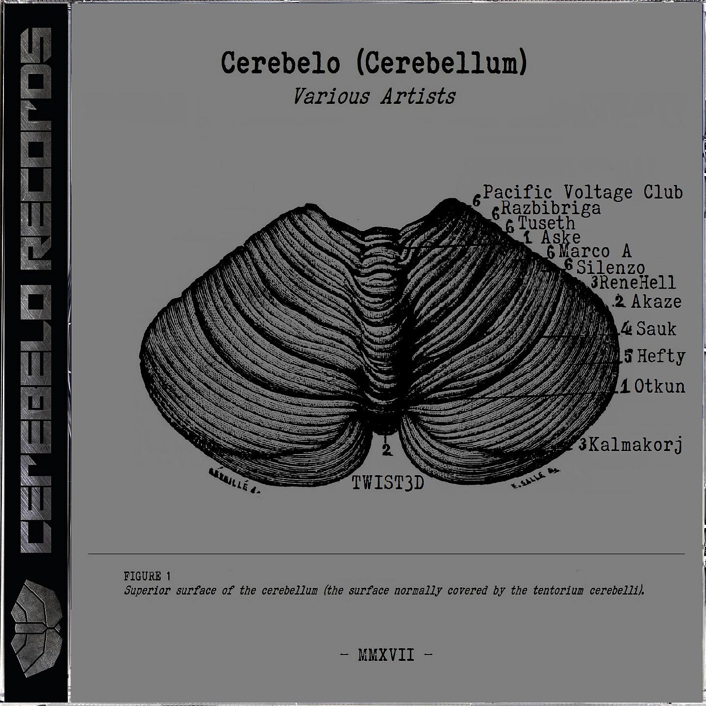 Постер альбома Cerebelo Records 2017