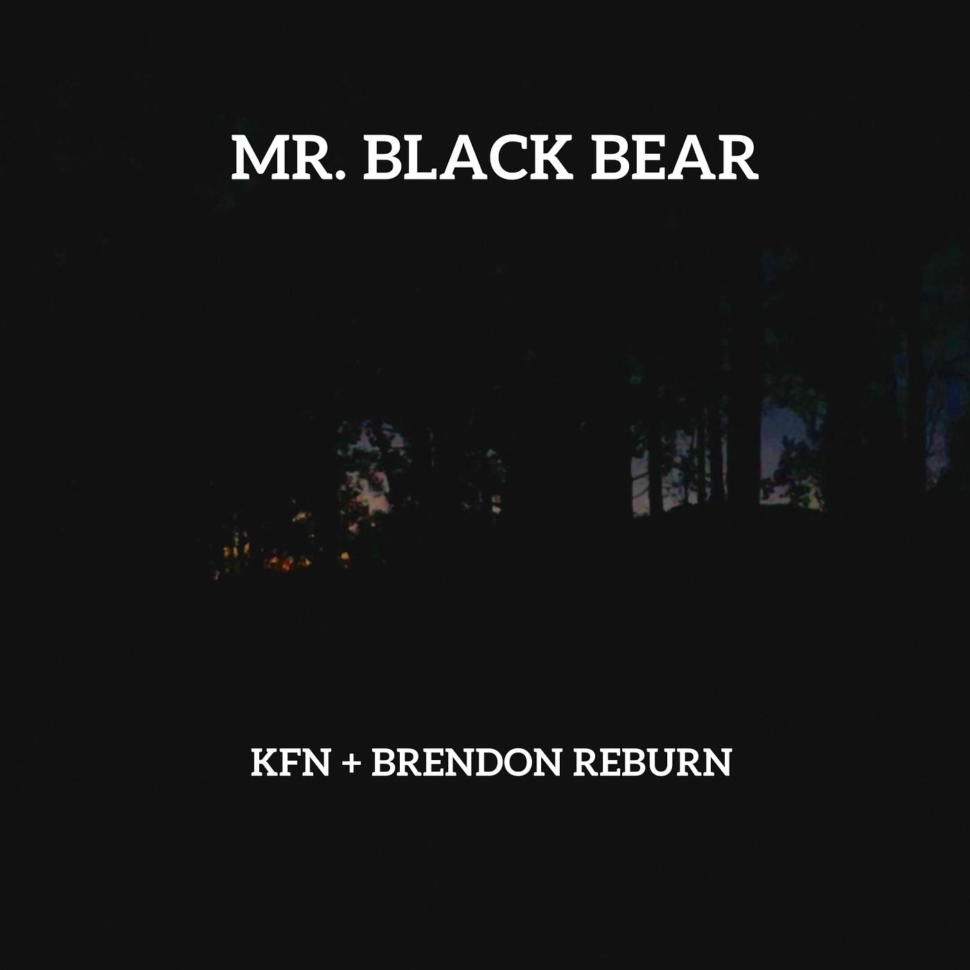 Постер альбома Mr. Black Bear