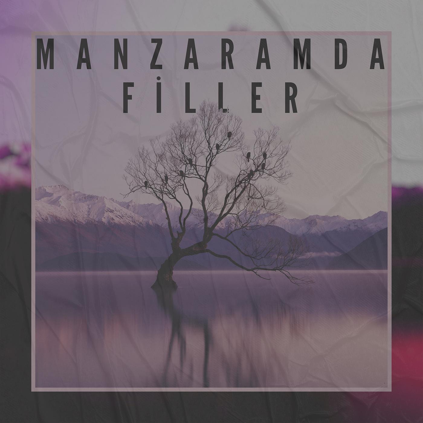 Постер альбома Manzaramda Filler