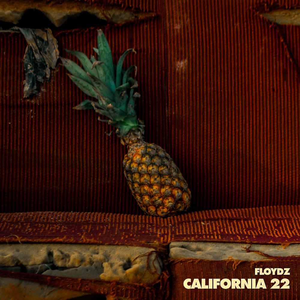 Постер альбома California 22