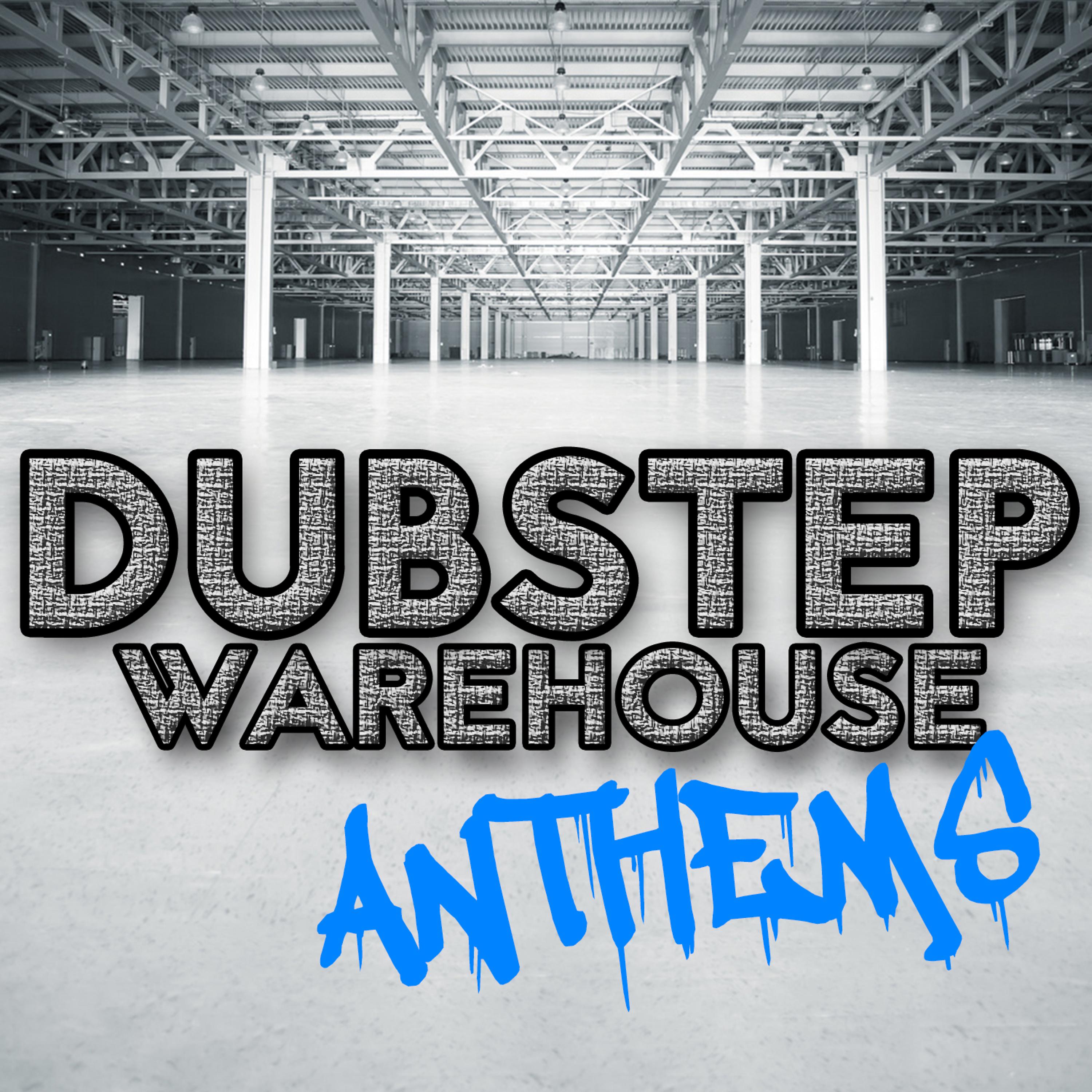 Постер альбома Dubstep Warehouse Anthems