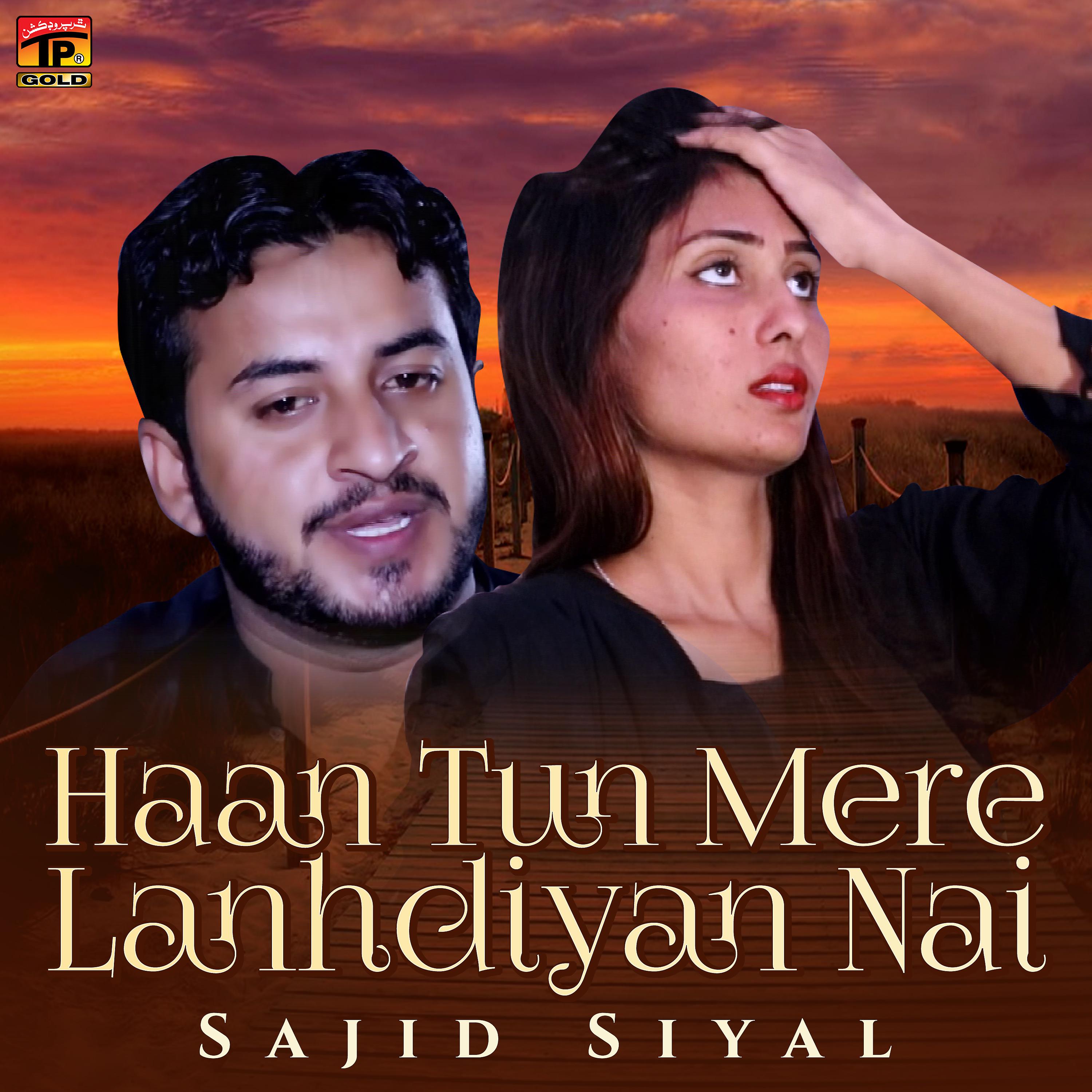 Постер альбома Haan Tun Mere Lanhdiyan Nai - Single