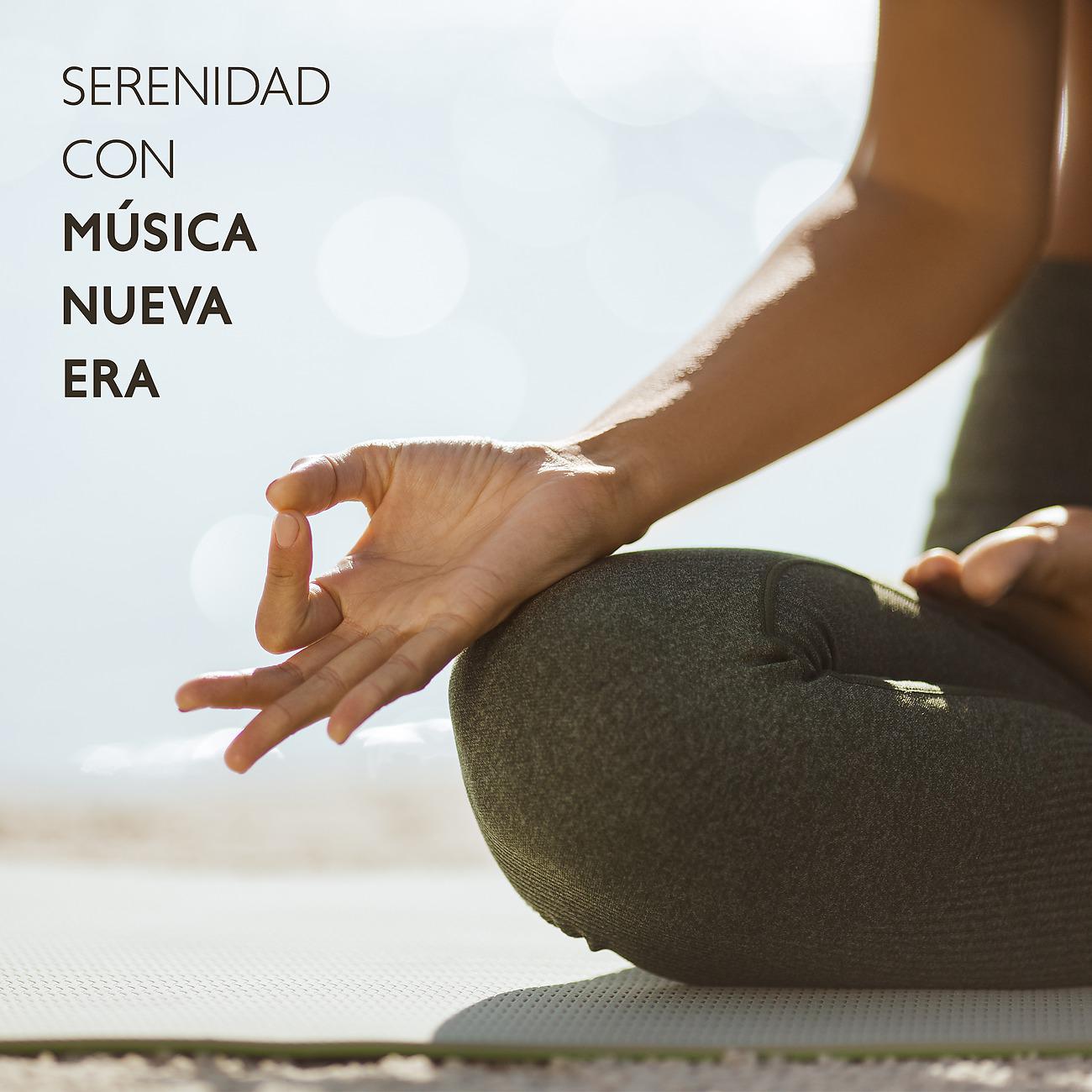 Постер альбома Serenidad con Música Nueva Era
