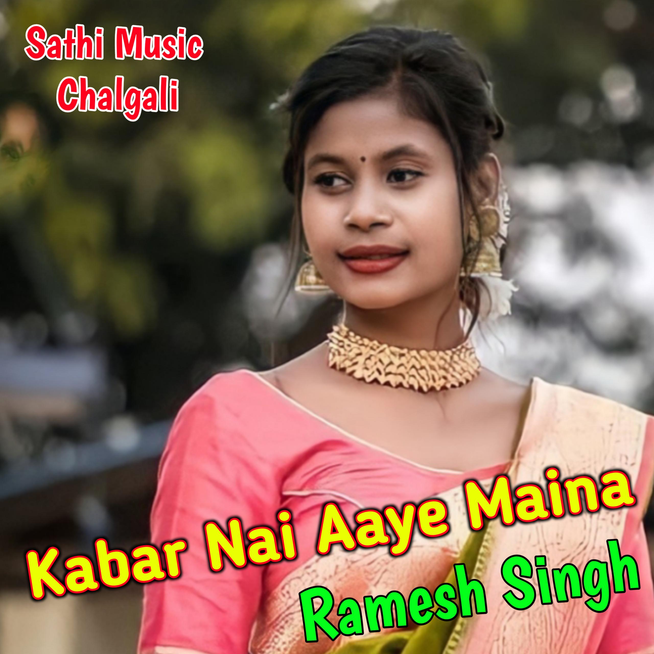 Постер альбома Kabar Nai Aaye Maina