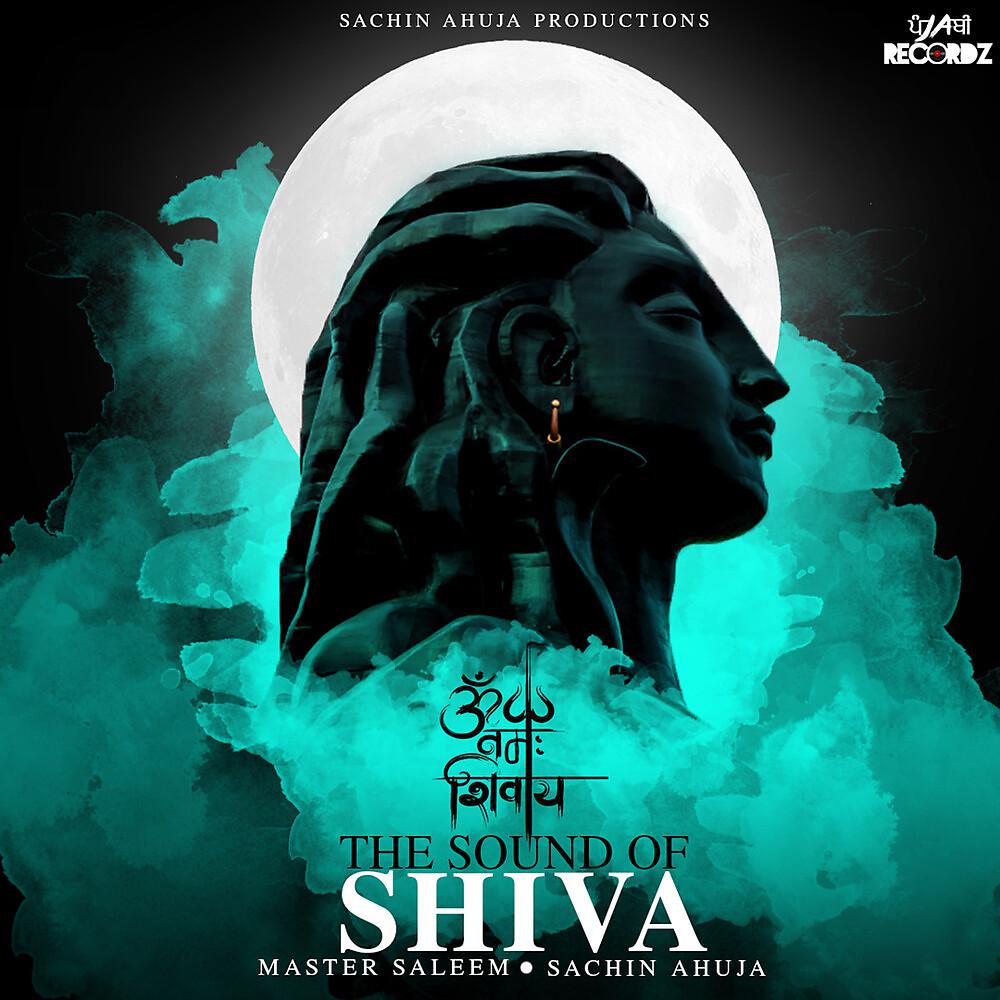 Постер альбома The Sound of Shiva
