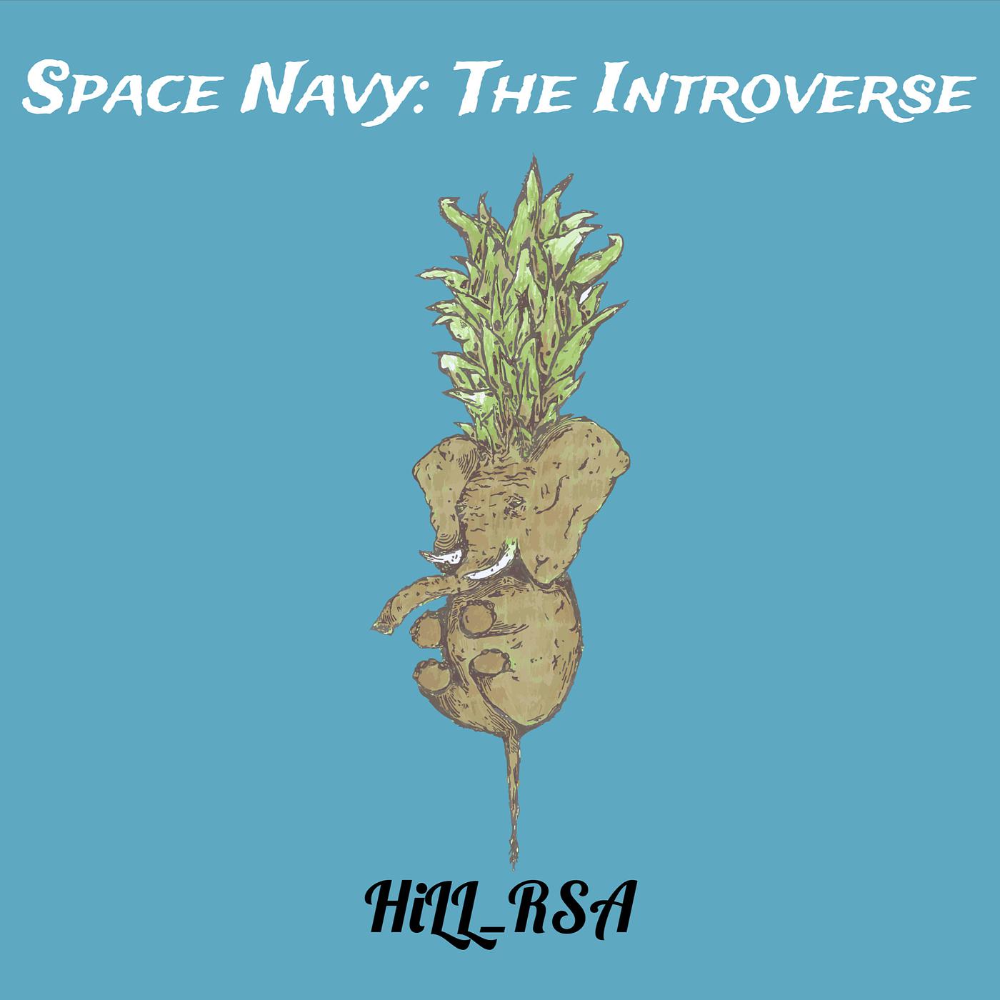 Постер альбома Space Navy: The Introverse