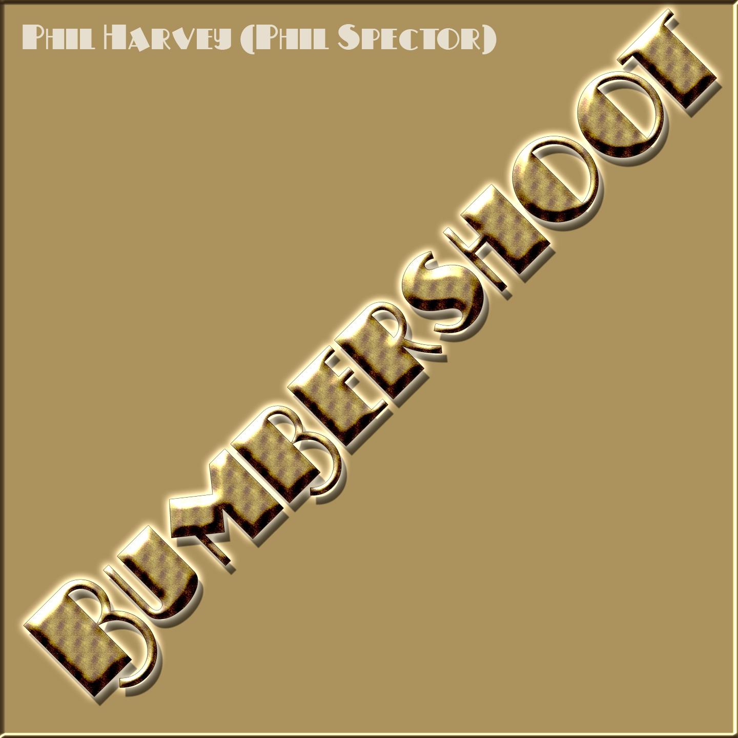 Постер альбома Bumbershoot (As Phil Harvey)