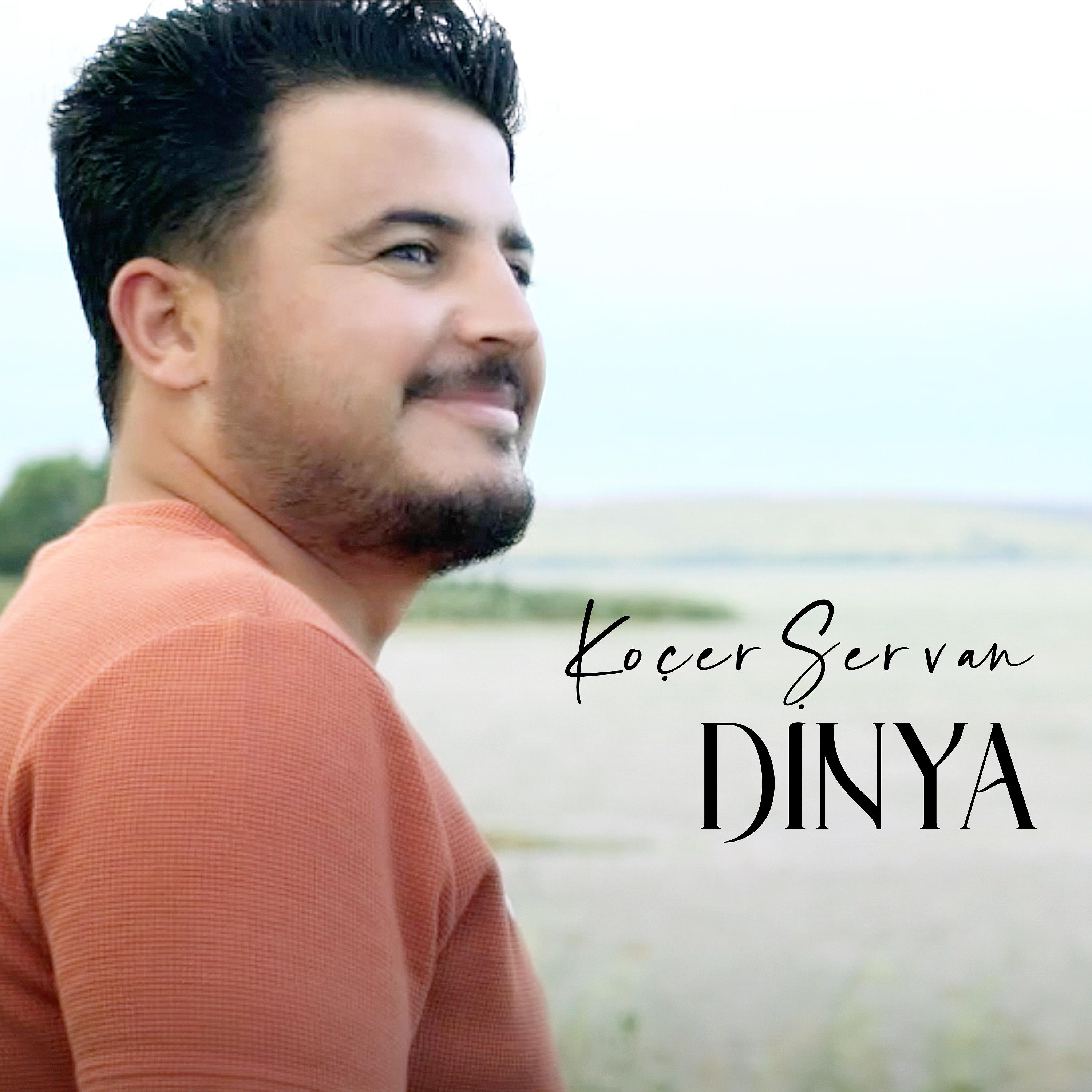 Постер альбома Dinya