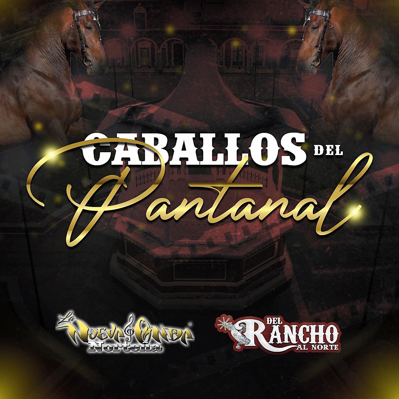 Постер альбома Caballos del Pantanal