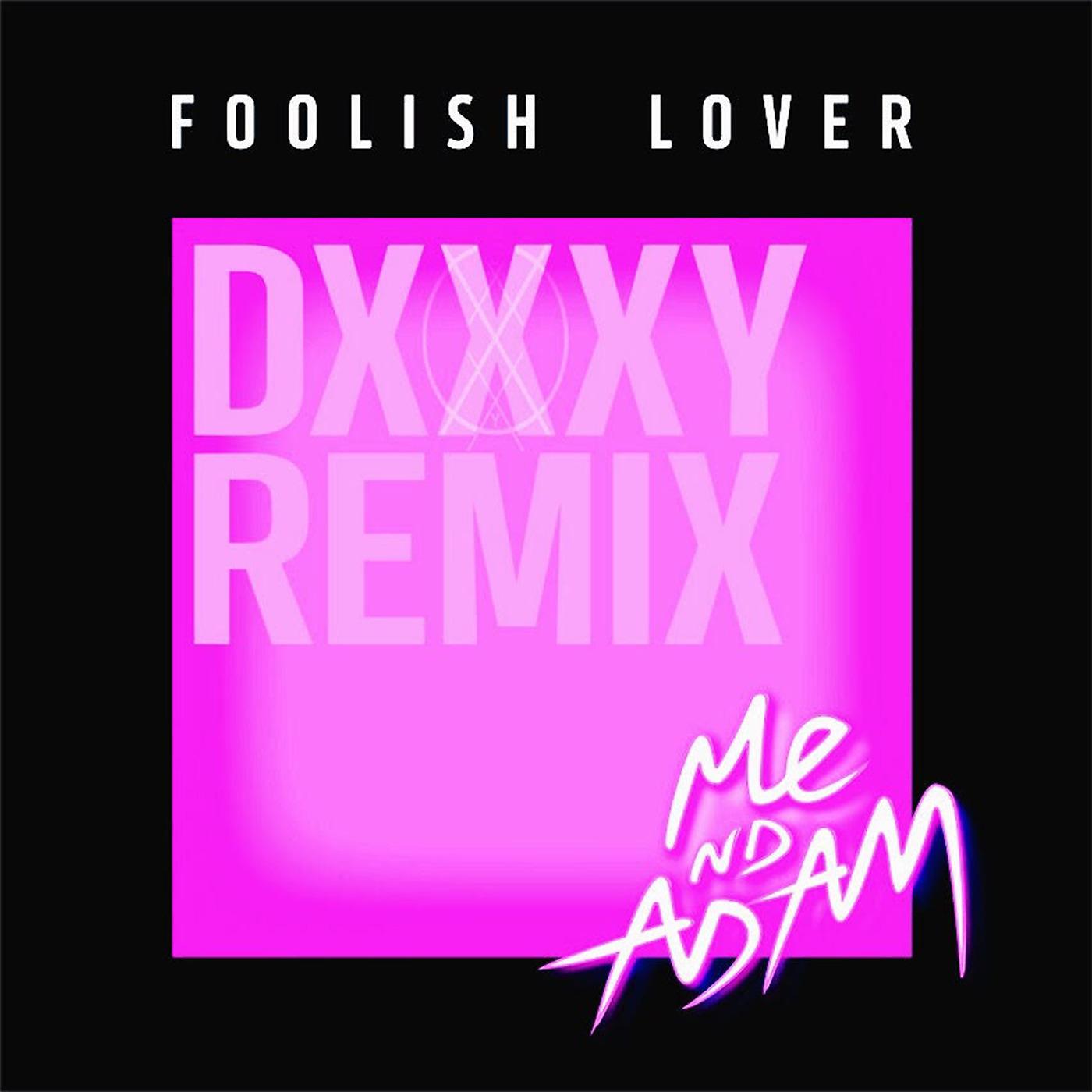 Постер альбома Foolish Lover (Remix)