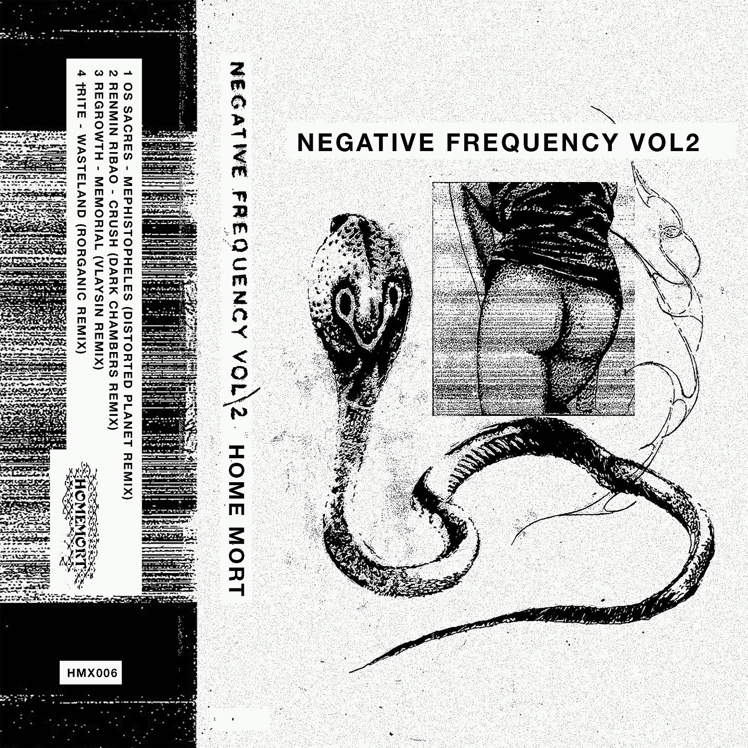Постер альбома Negative Frequency, Vol. 2