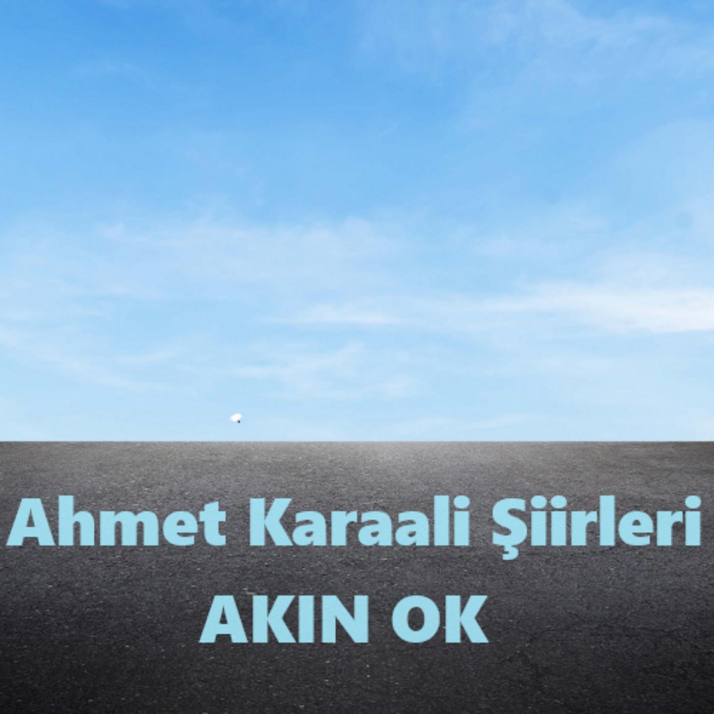 Постер альбома Ahmet Karaali Şiirleri