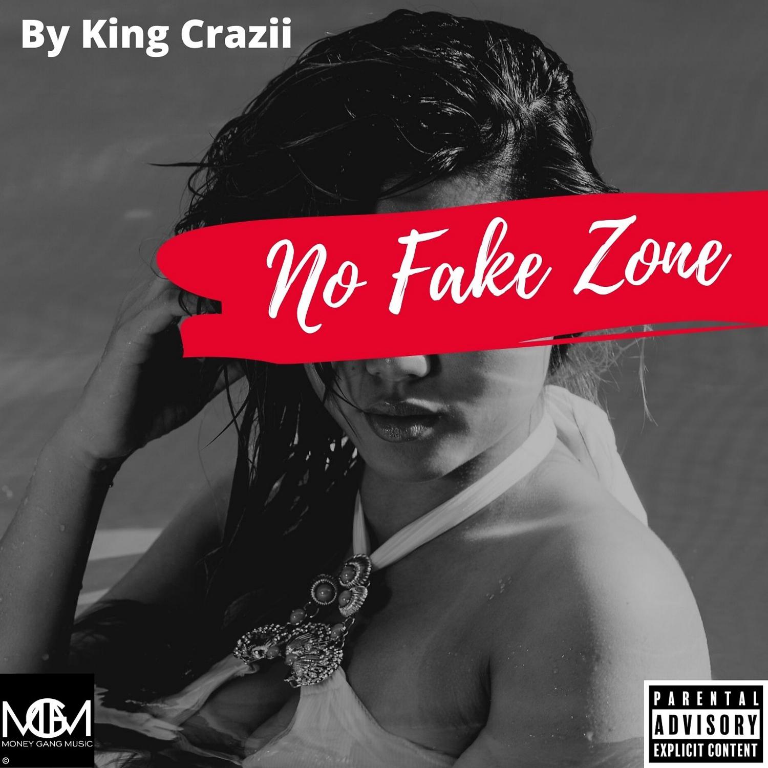 Постер альбома No Fake Zone