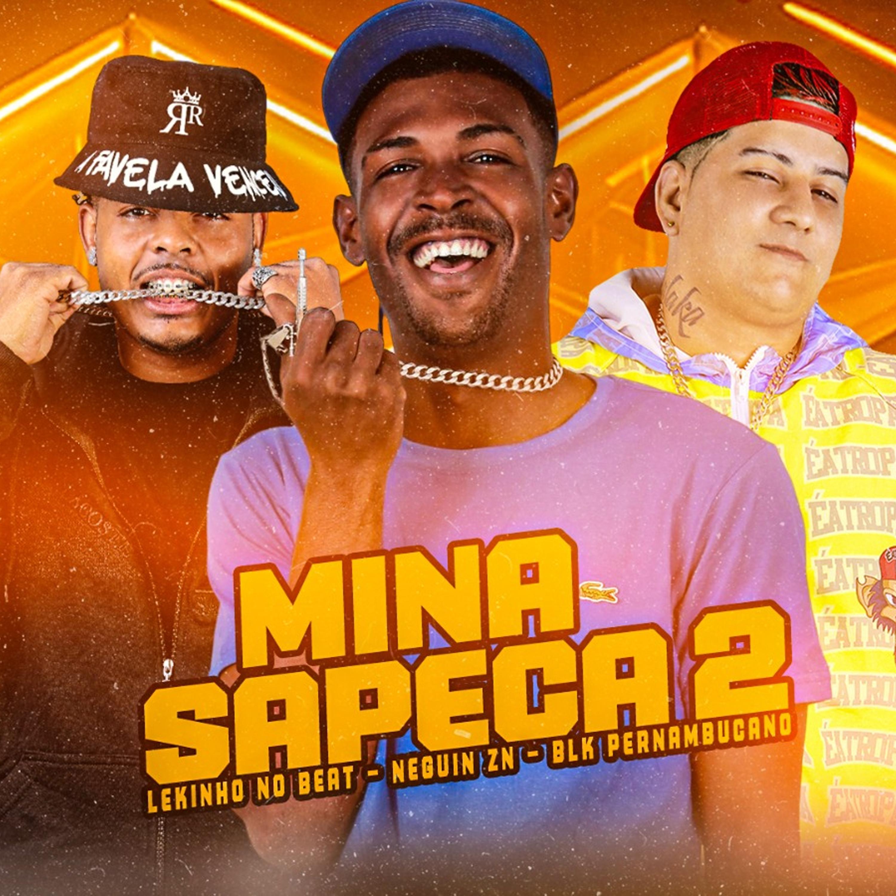 Постер альбома Mina Sapeca 2