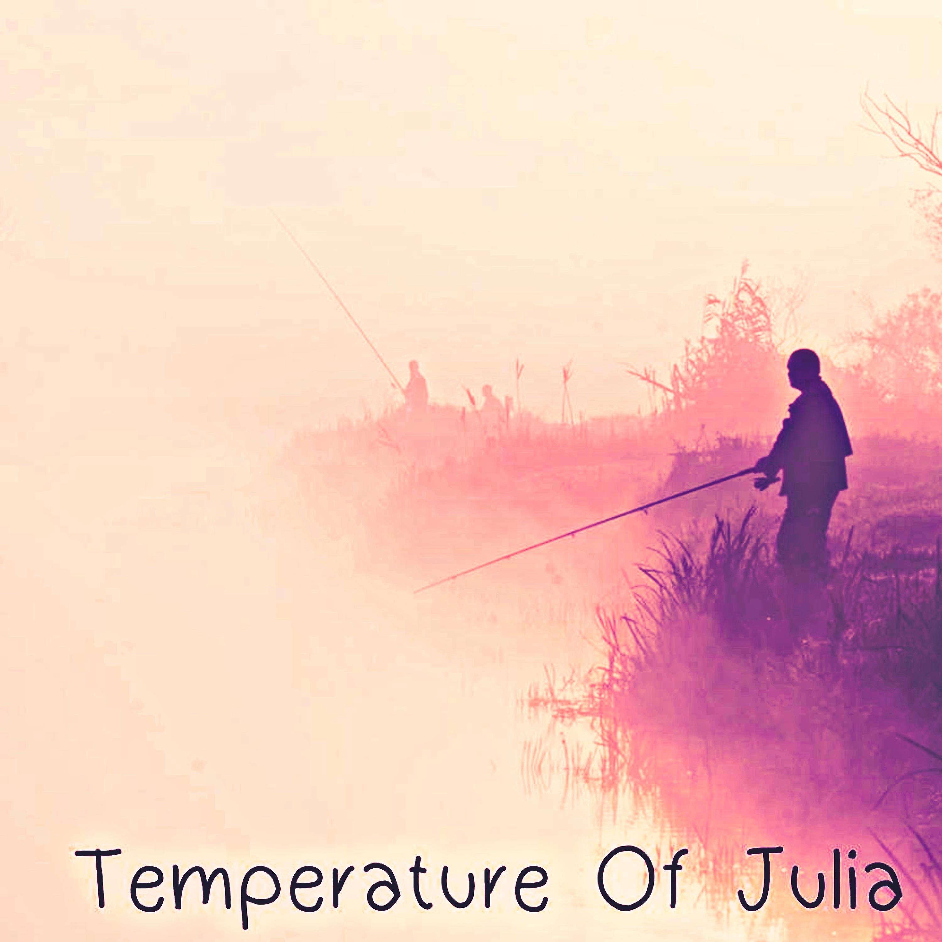 Постер альбома Temperature Of Julia
