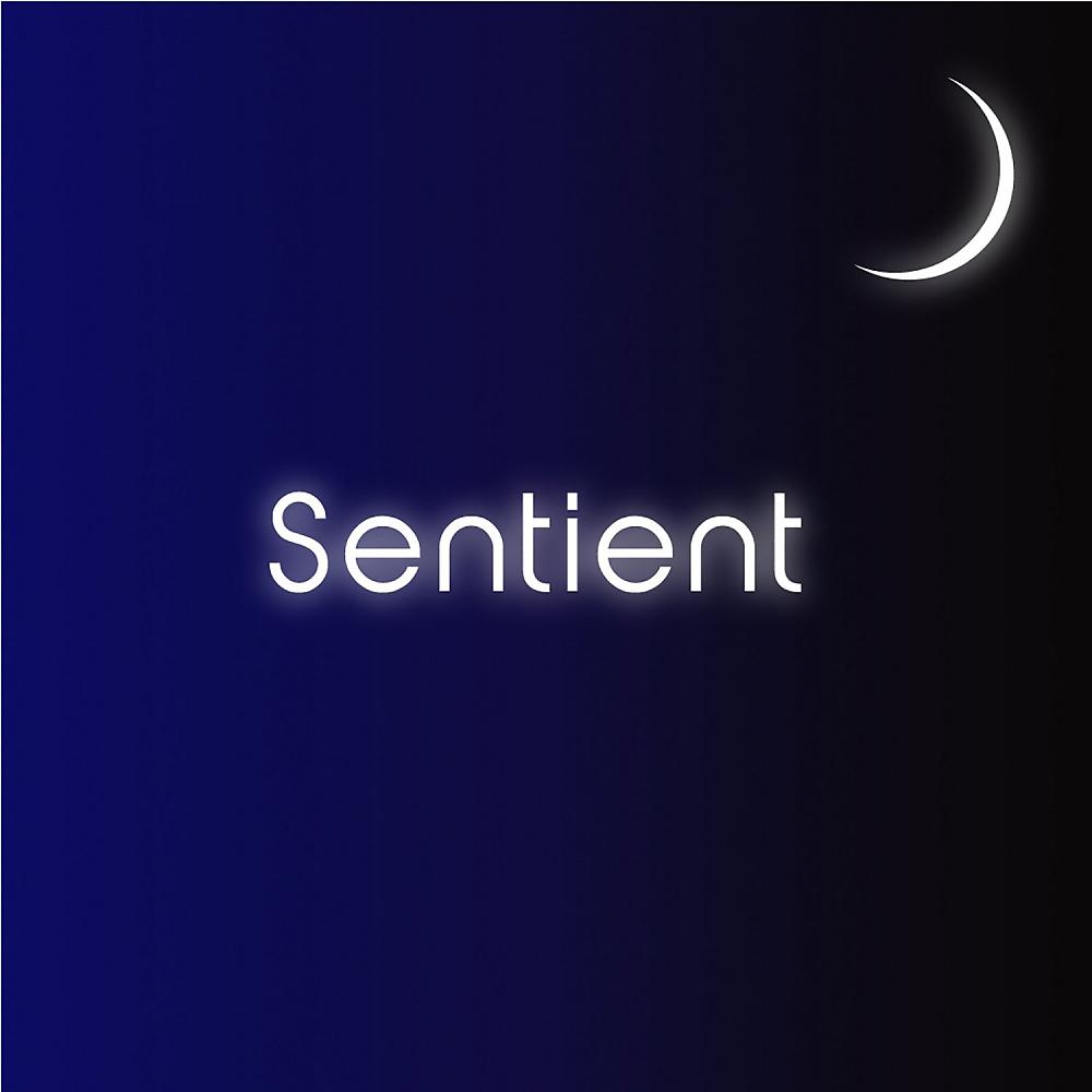 Постер альбома Sentient