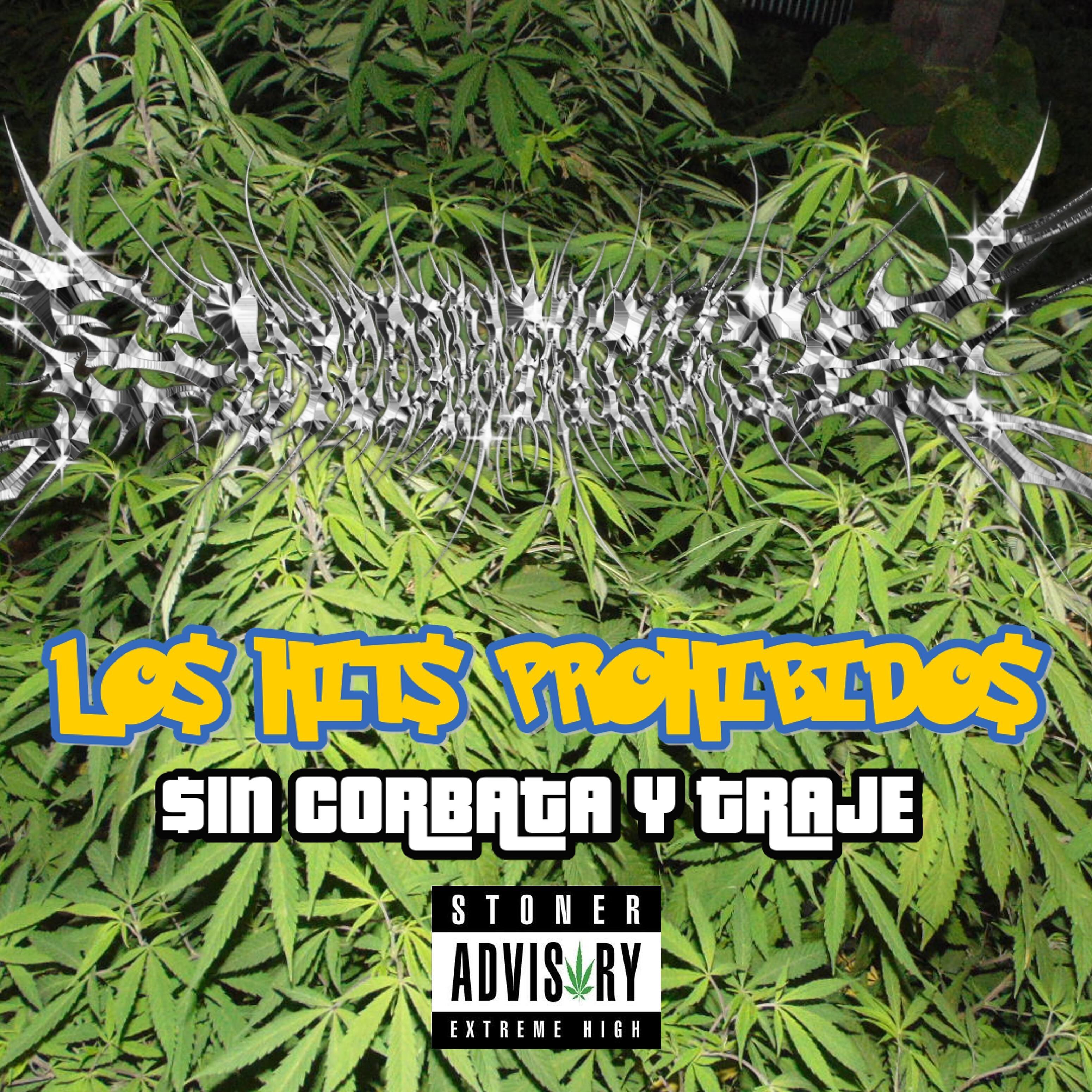Постер альбома Los Hits Prohibidos