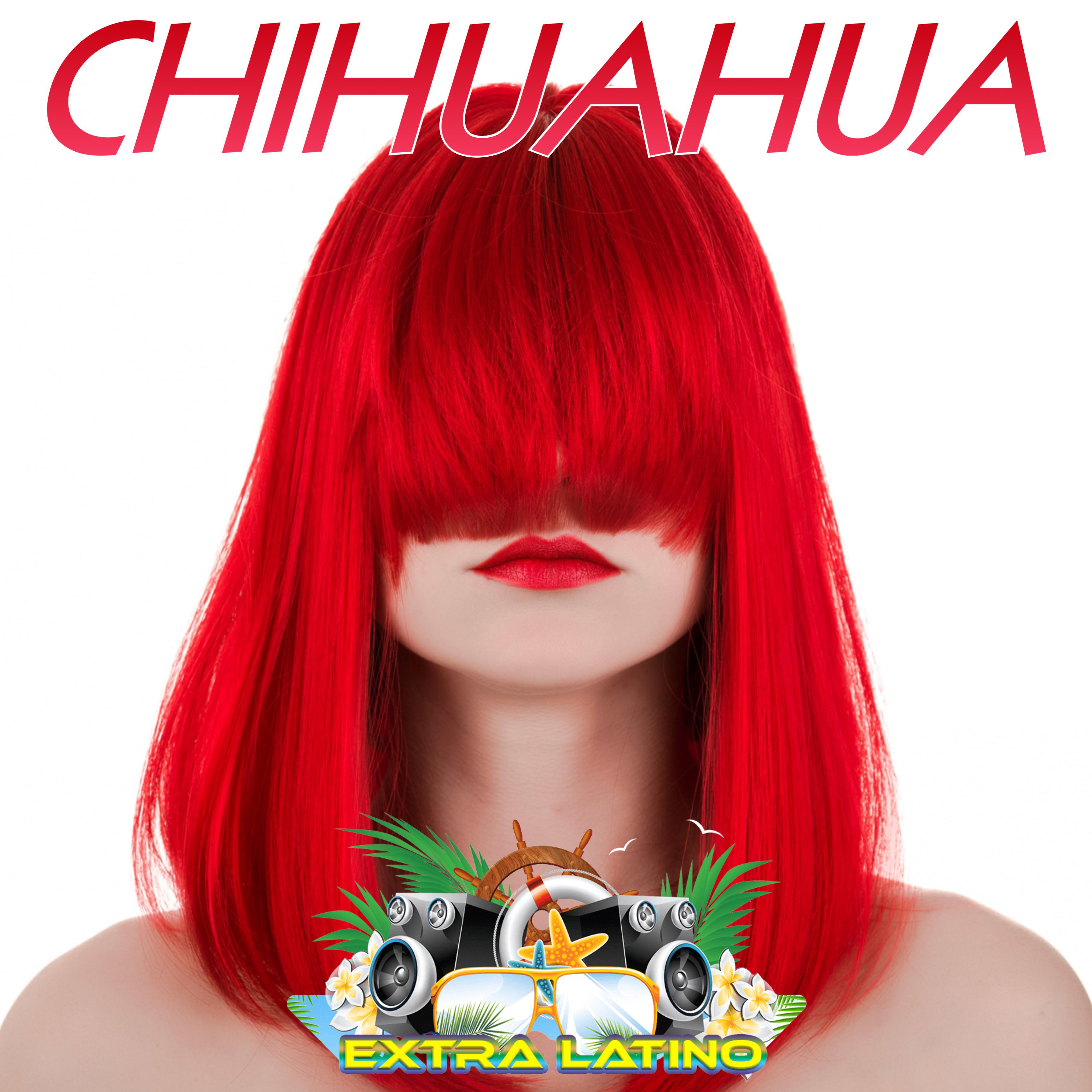 Постер альбома Chihuahua