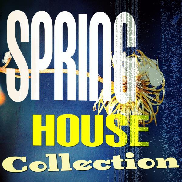 Постер альбома Spring House Collection
