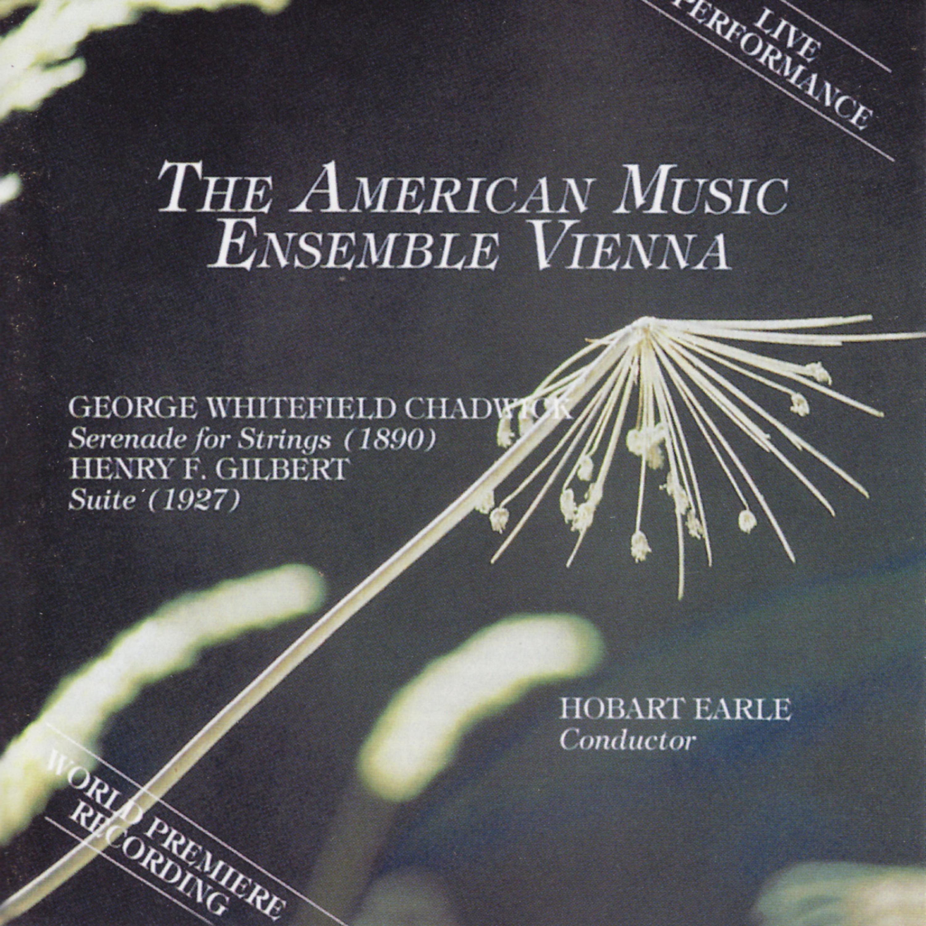 Постер альбома American Music Ensemble Vienna