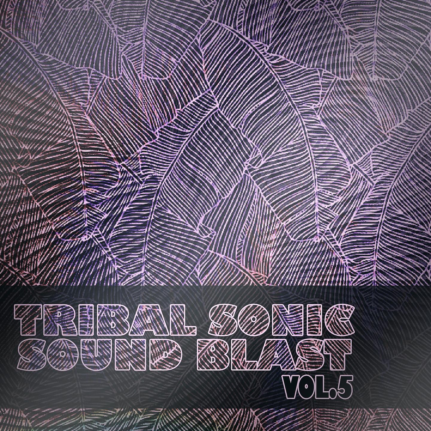 Постер альбома Tribal Sonic Soundblast,Vol.5