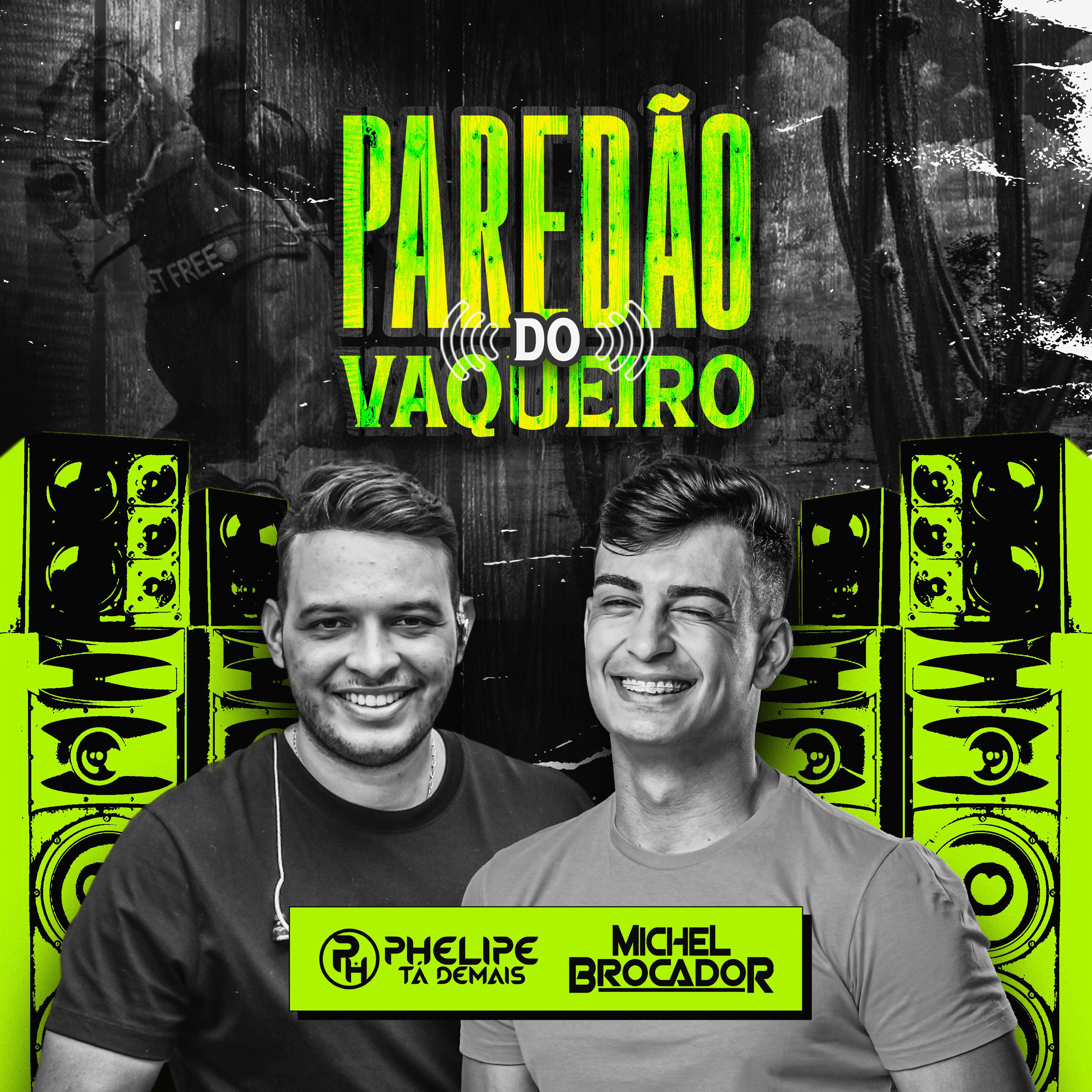 Постер альбома Paredão do Vaqueiro