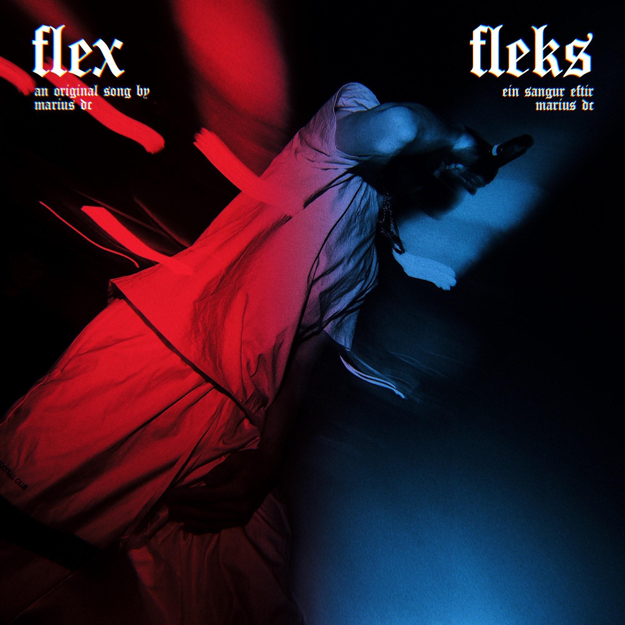 Постер альбома Flex - Fleks
