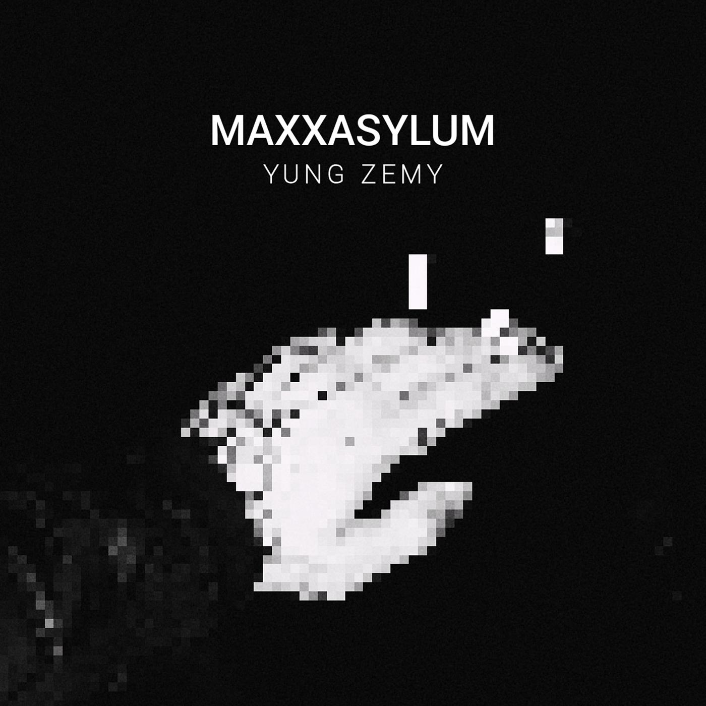 Постер альбома Maxxasylum
