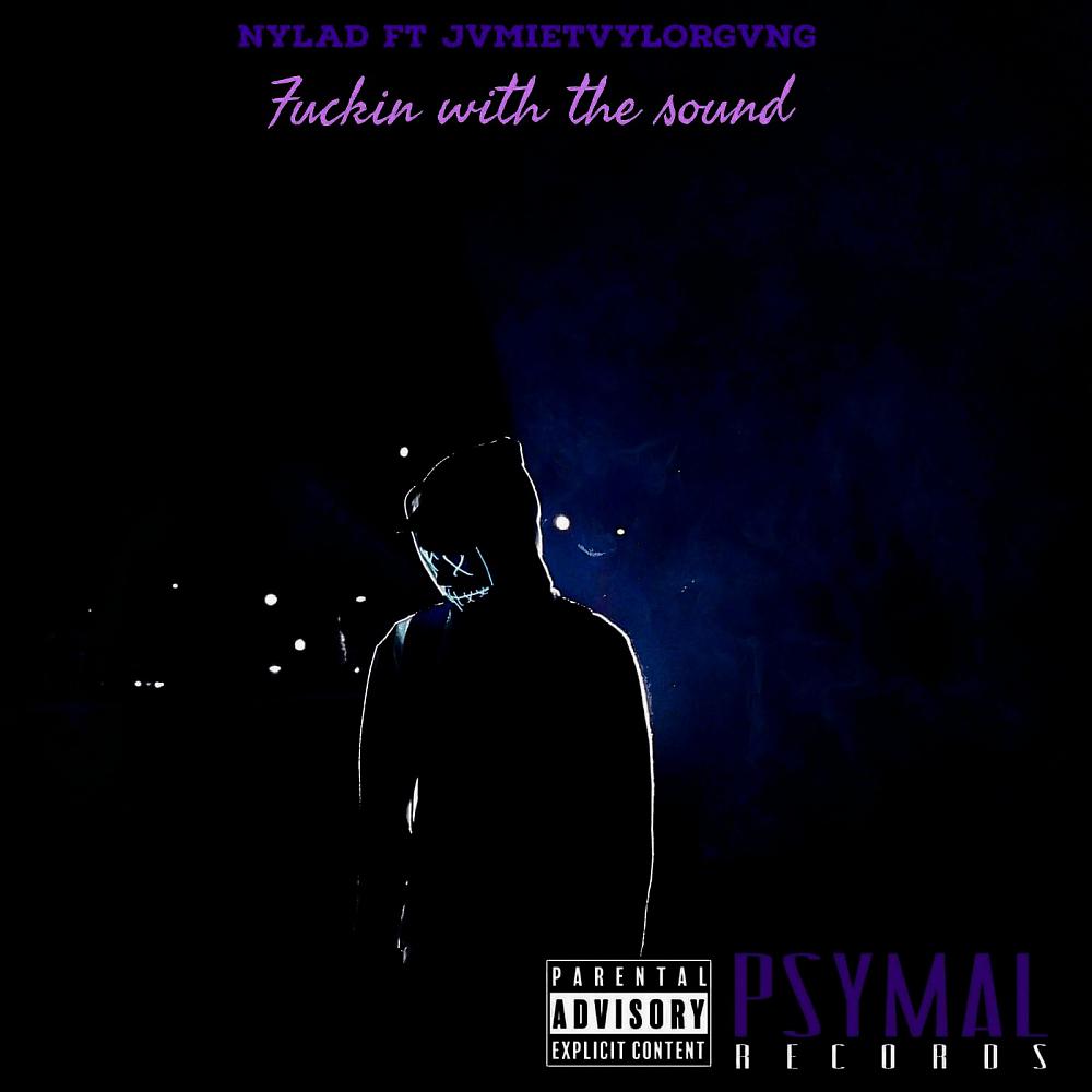 Постер альбома Fuckin With The Sound