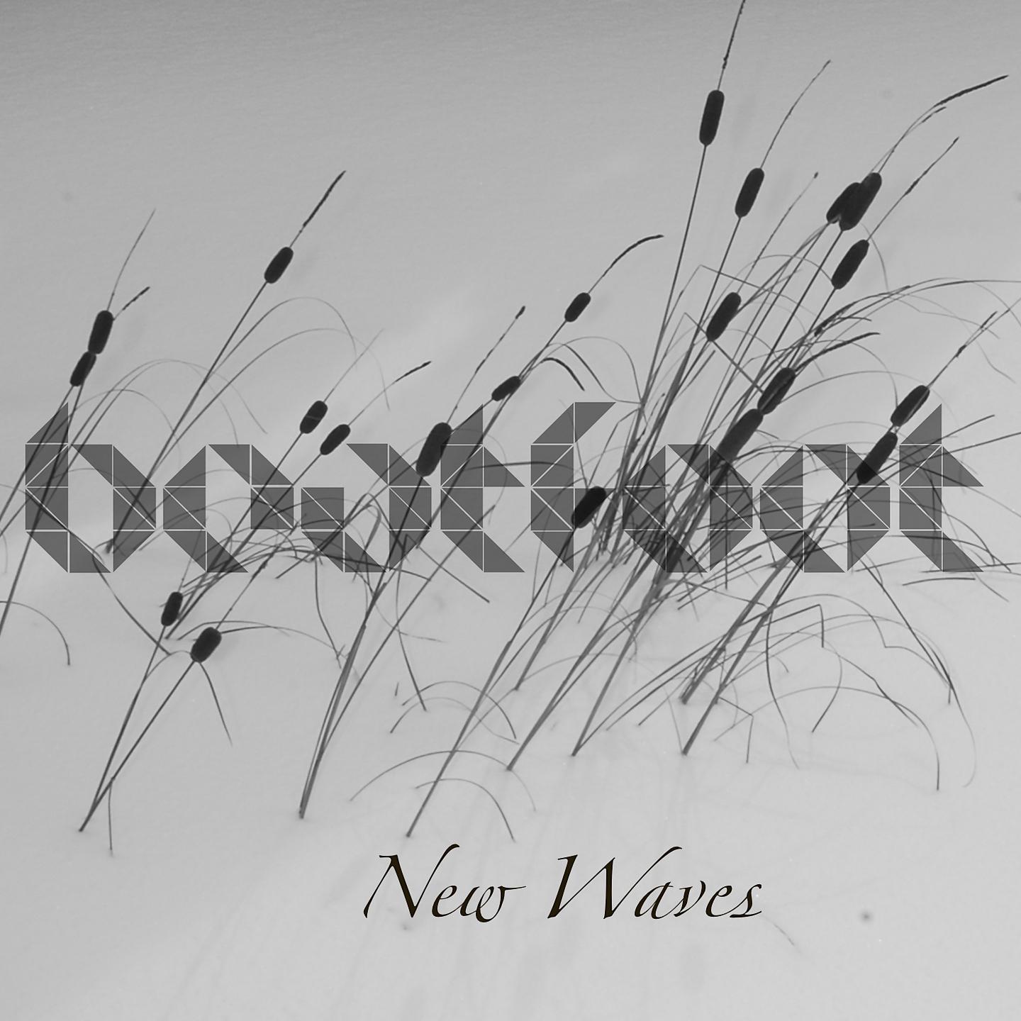 Постер альбома New Waves