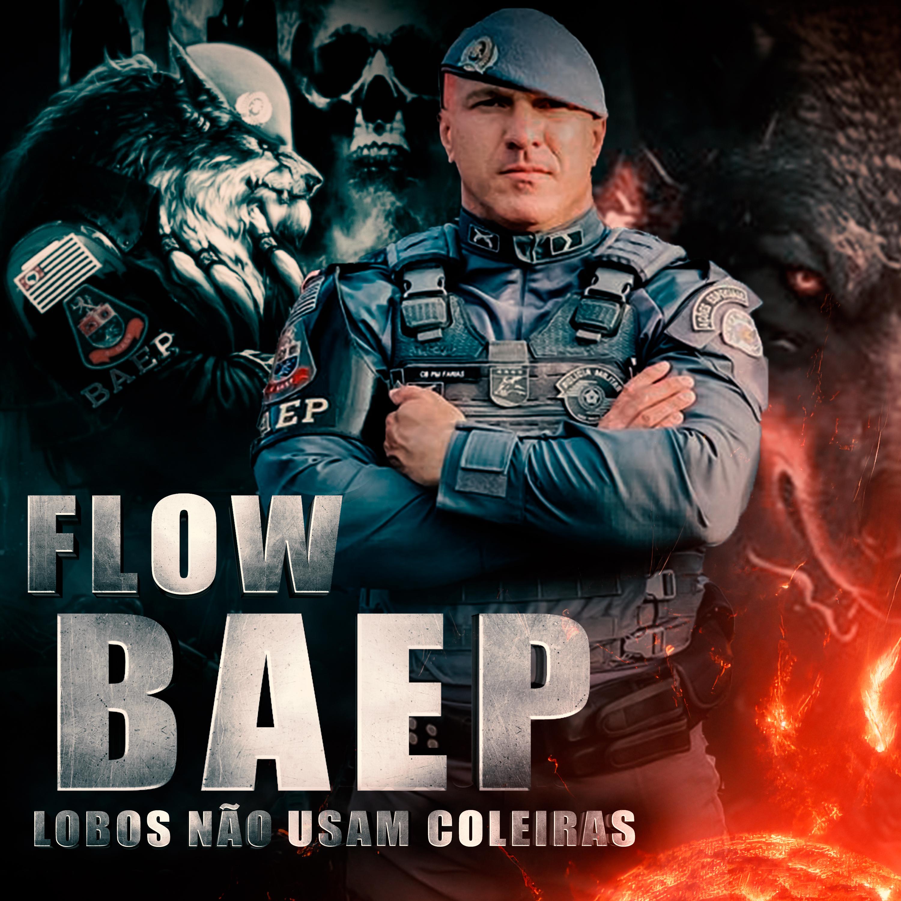 Постер альбома Flow Baep Lobos Não Usam Coleiras