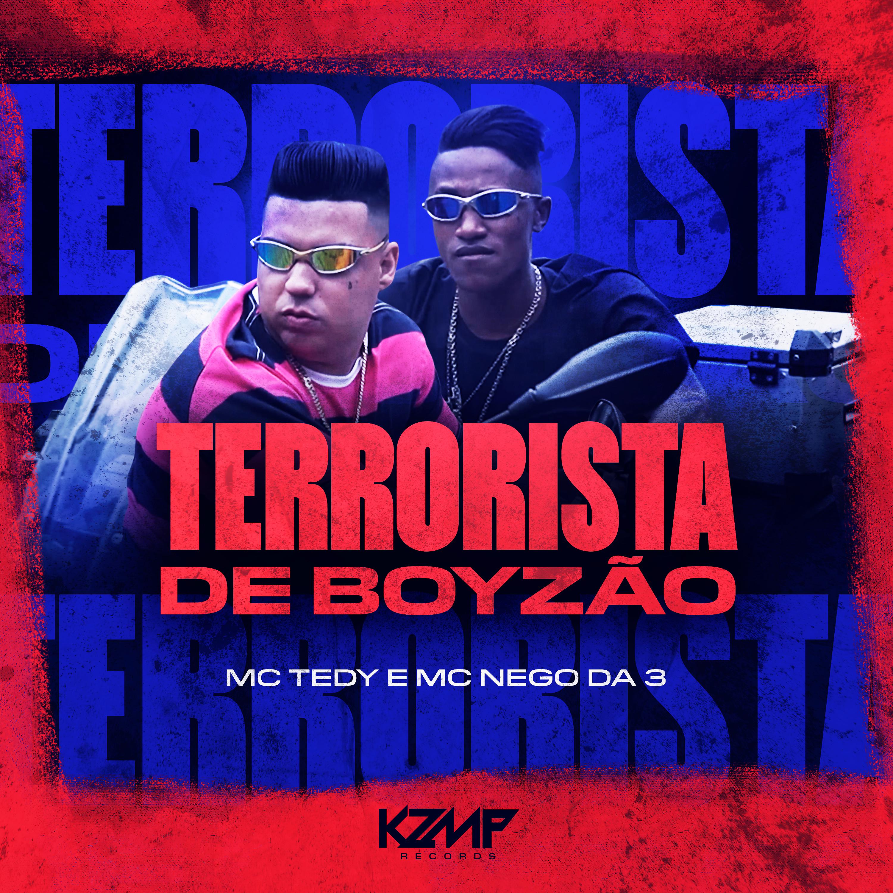 Постер альбома Terrorista de Boyzão