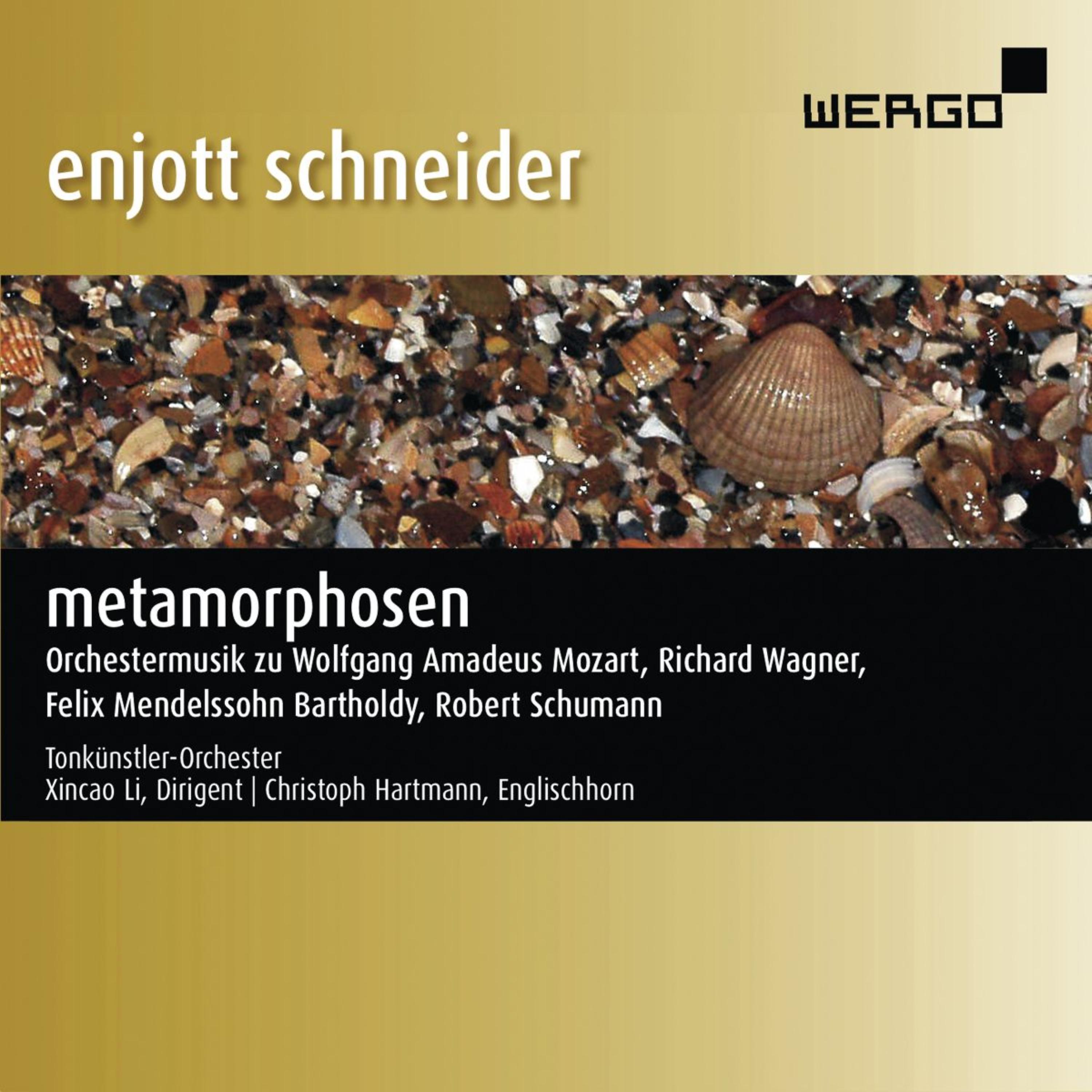 Постер альбома Schneider: Metamorphosen