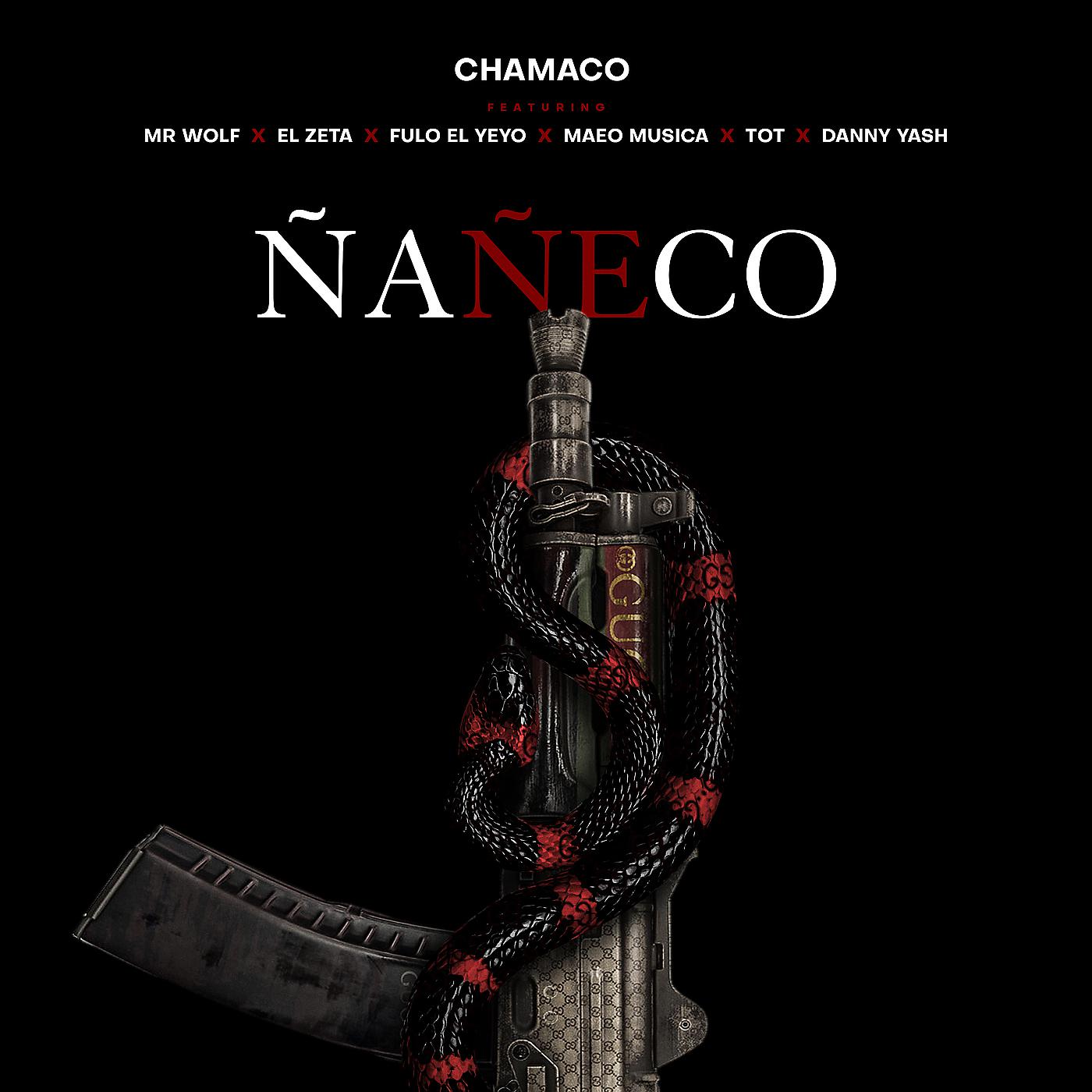 Постер альбома Ñañeco
