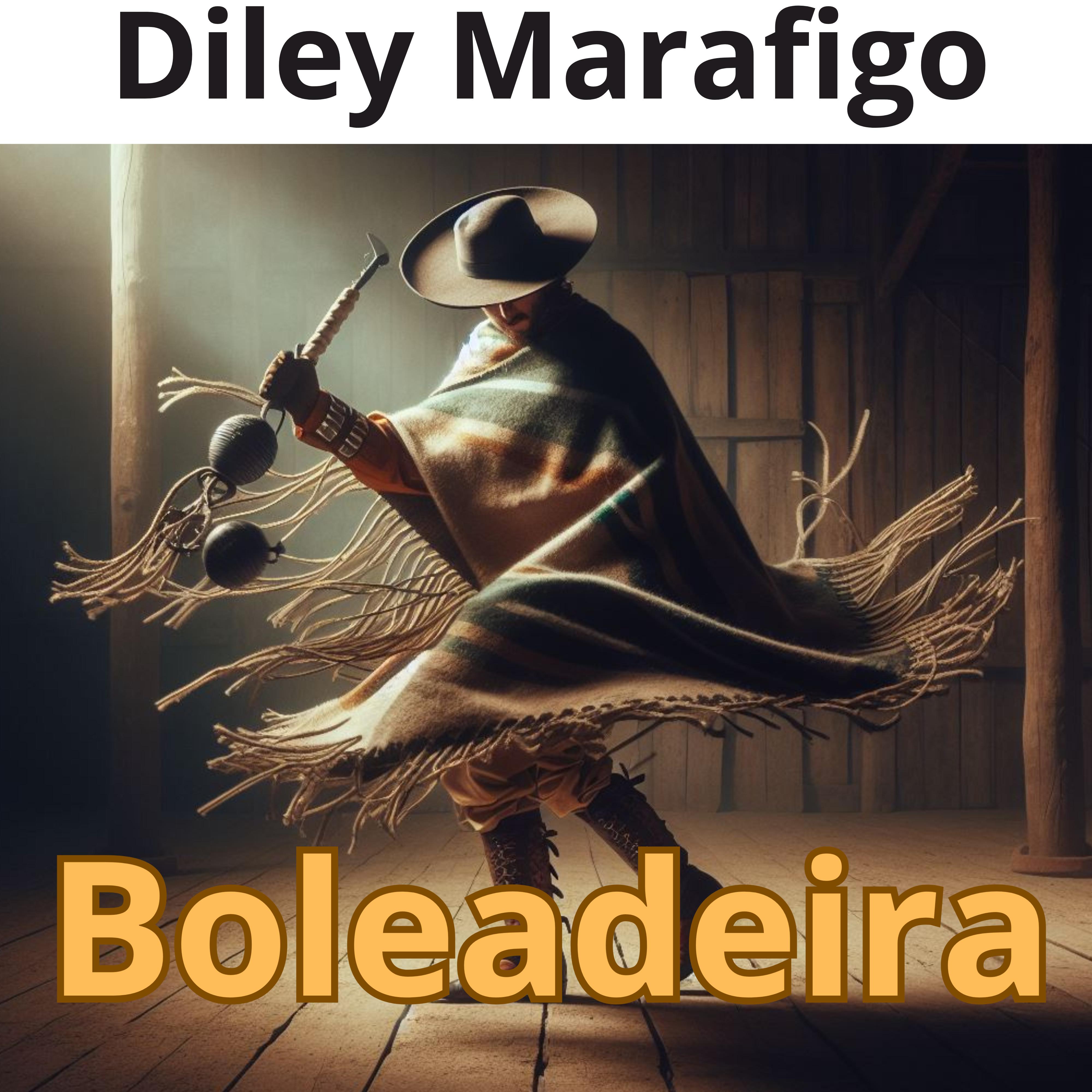 Постер альбома Boleadeira