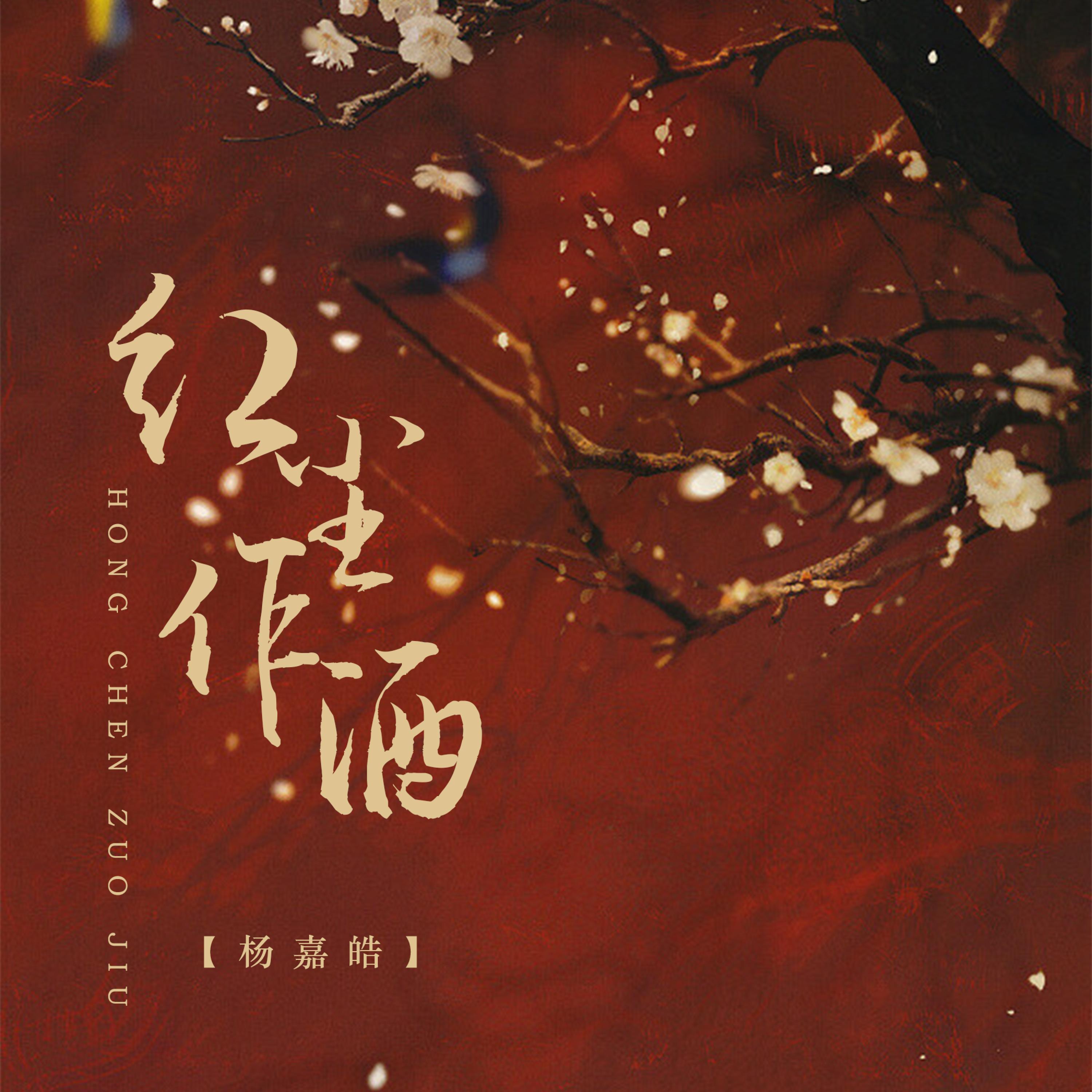 Постер альбома 红尘作酒