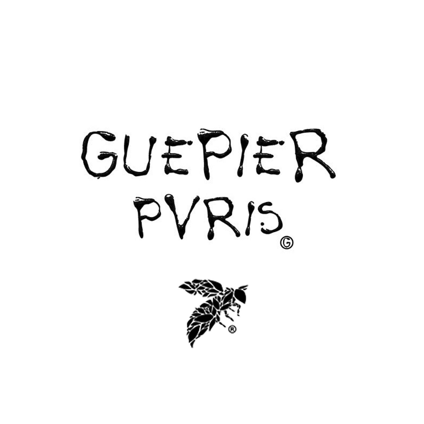 Постер альбома Guepier Paris