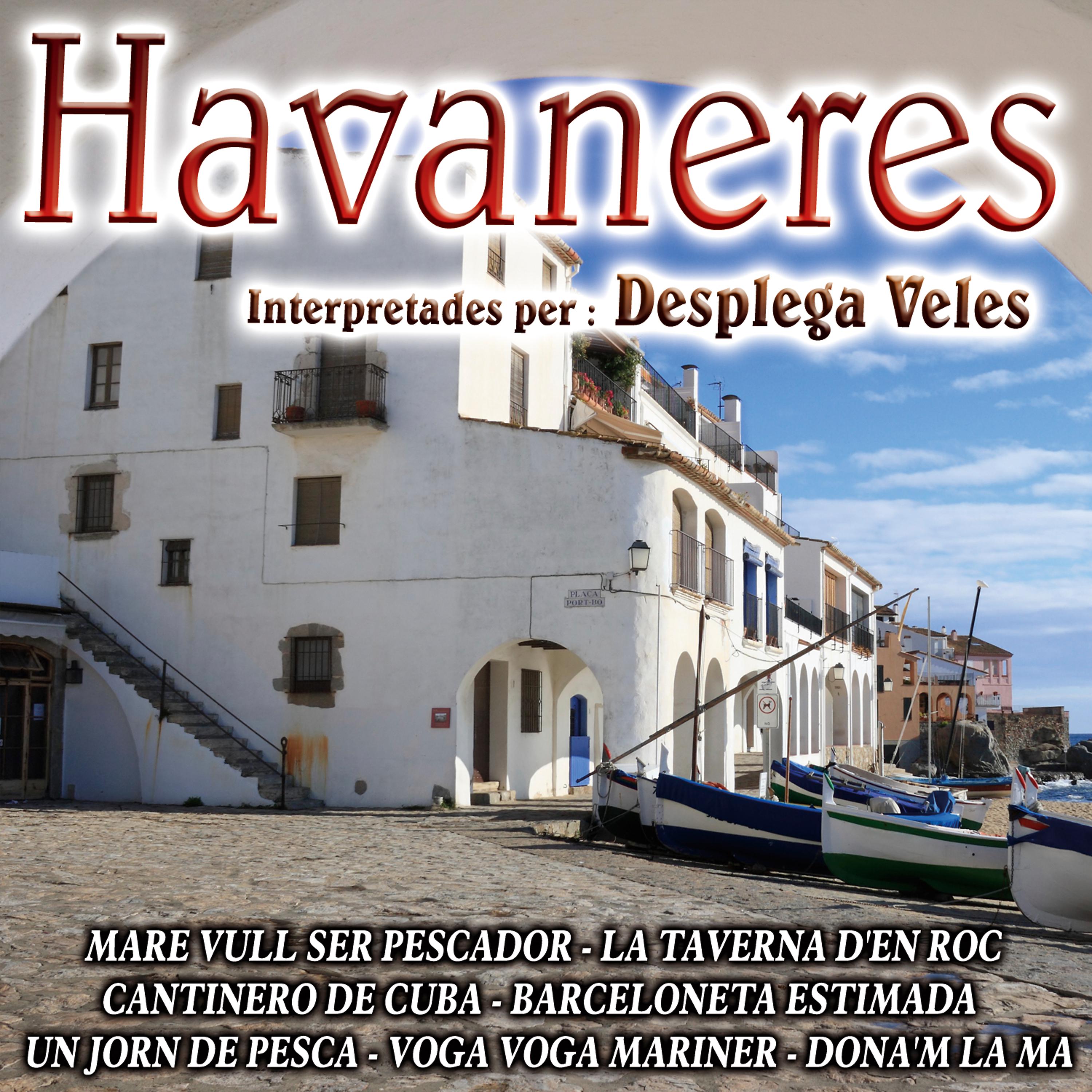 Постер альбома Les Millors Havaneres