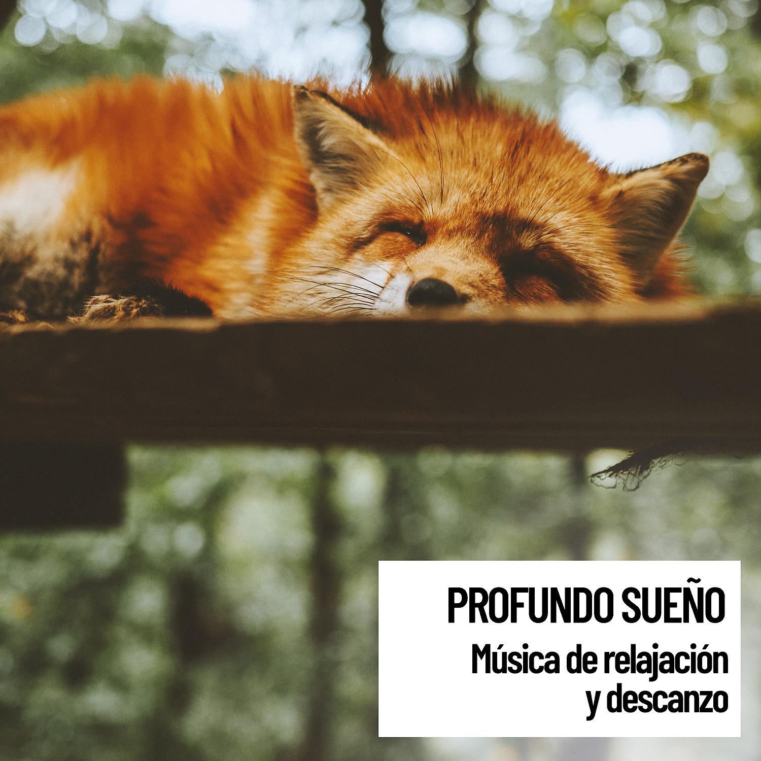 Постер альбома Naturaleza y yo: Profundo sueno: musica de relajacion y descanzo