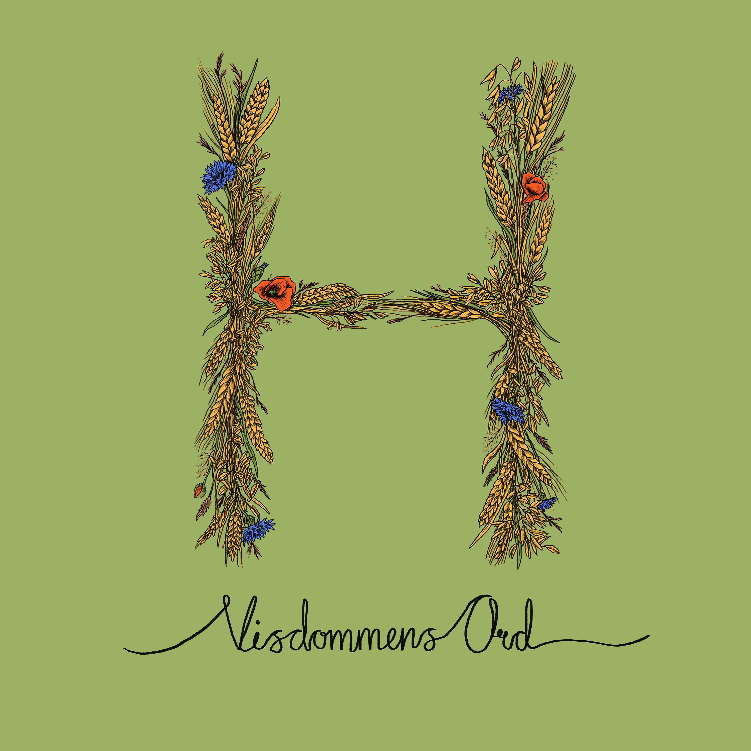 Постер альбома Visdommens ord