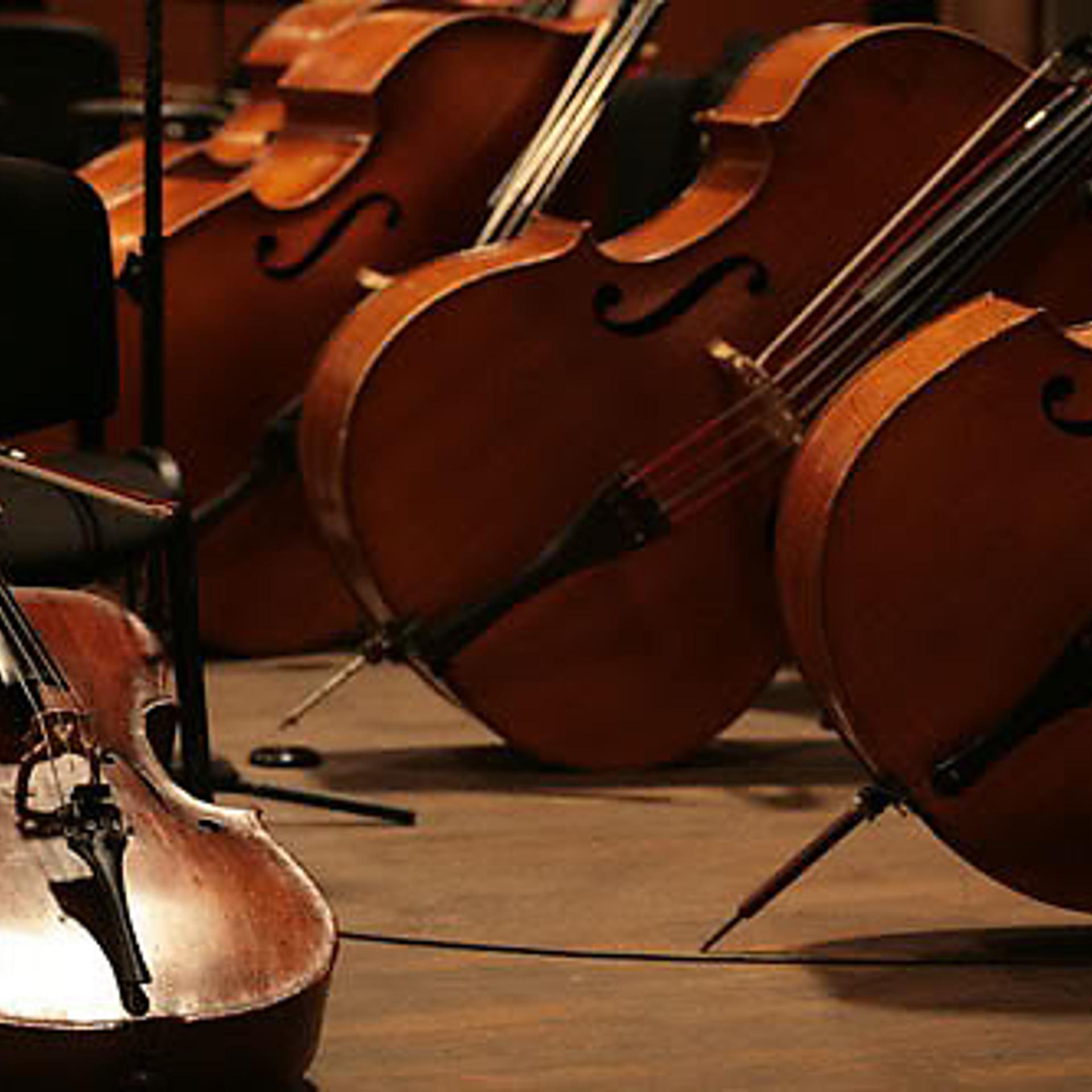 Soundtrack Orchestra - фото