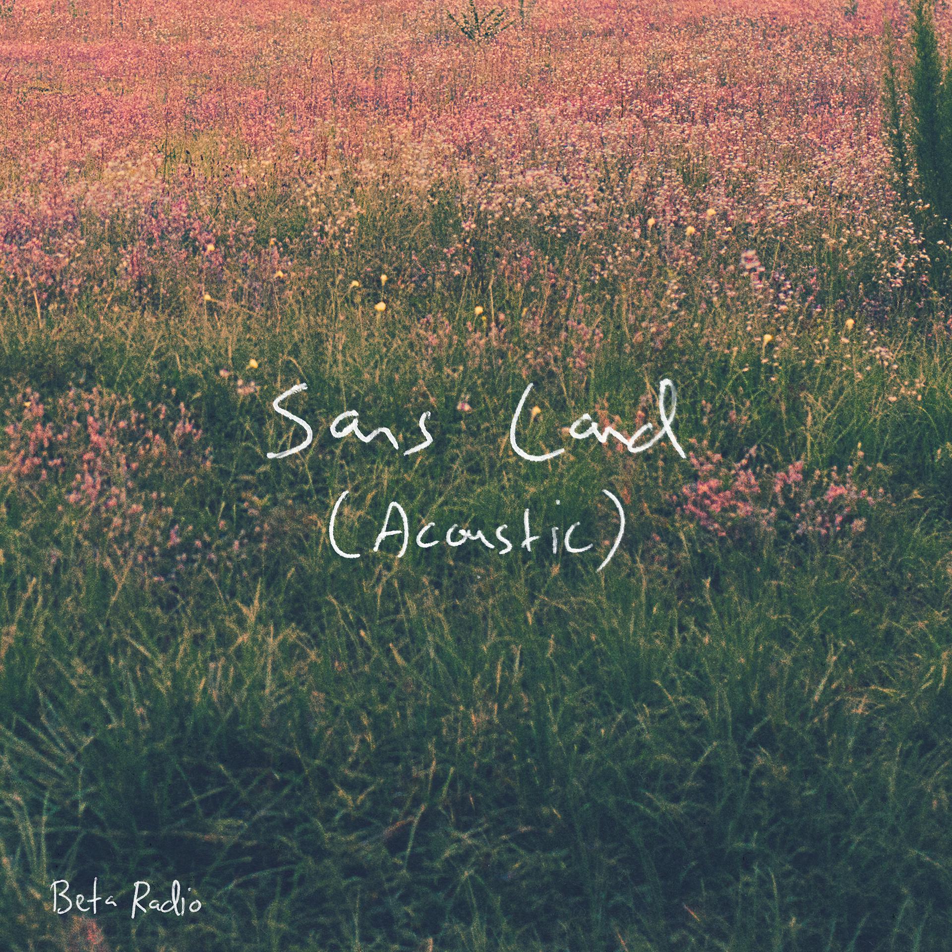 Постер альбома Sans Land (Acoustic)