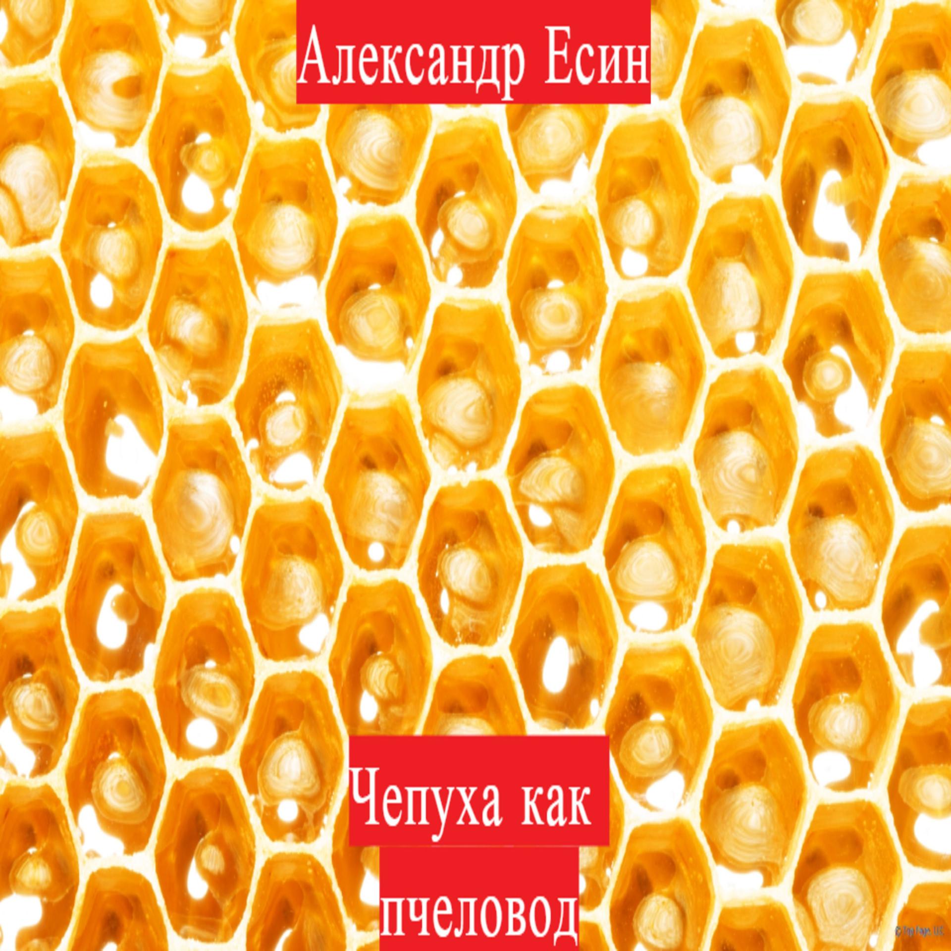 Постер альбома Чепуха как пчеловод