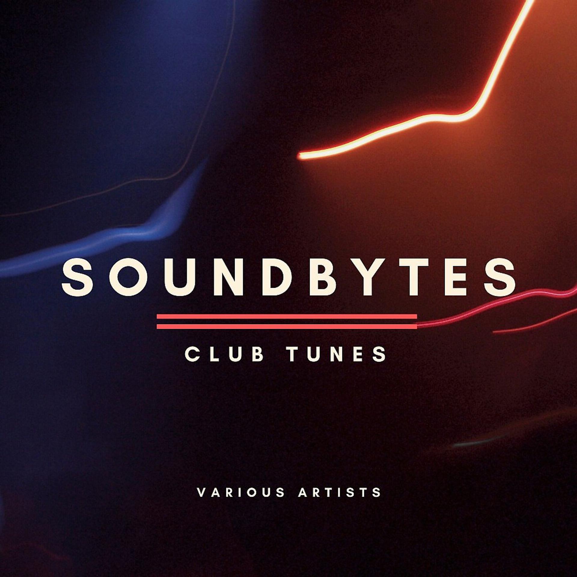 Постер альбома Soundbytes (Club Tunes)