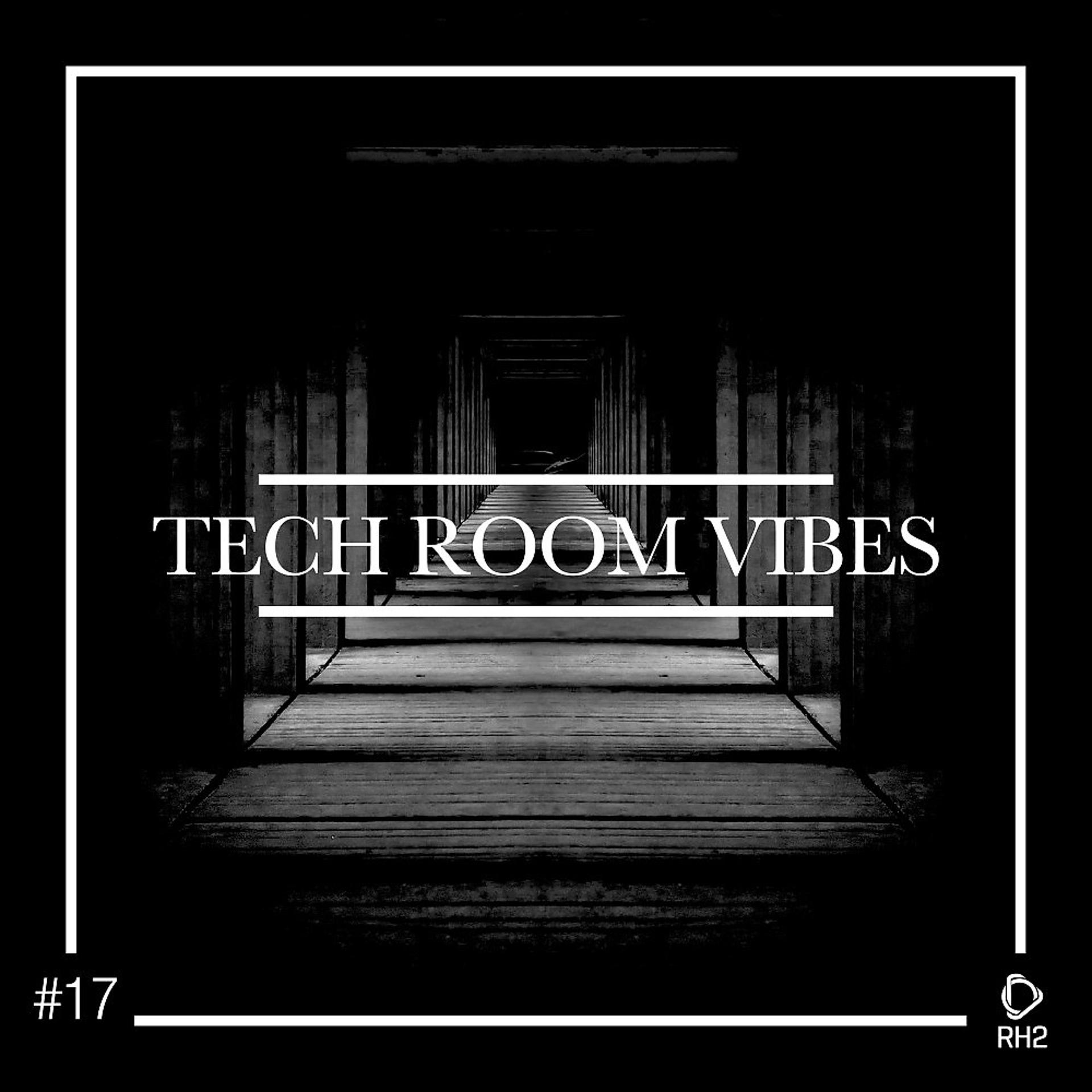 Постер альбома Tech Room Vibes, Vol. 17