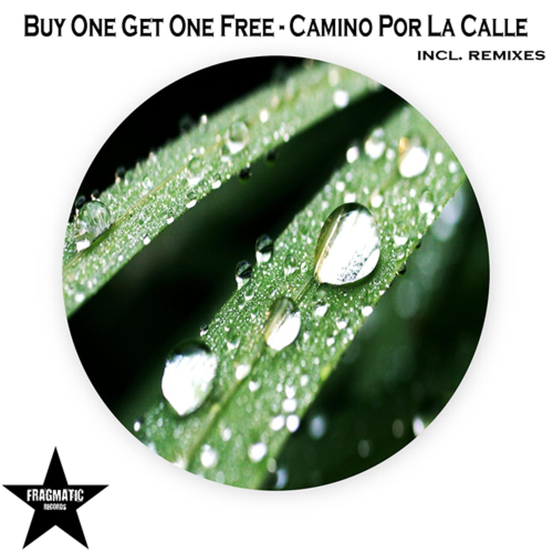 Постер альбома Camino por la Calle